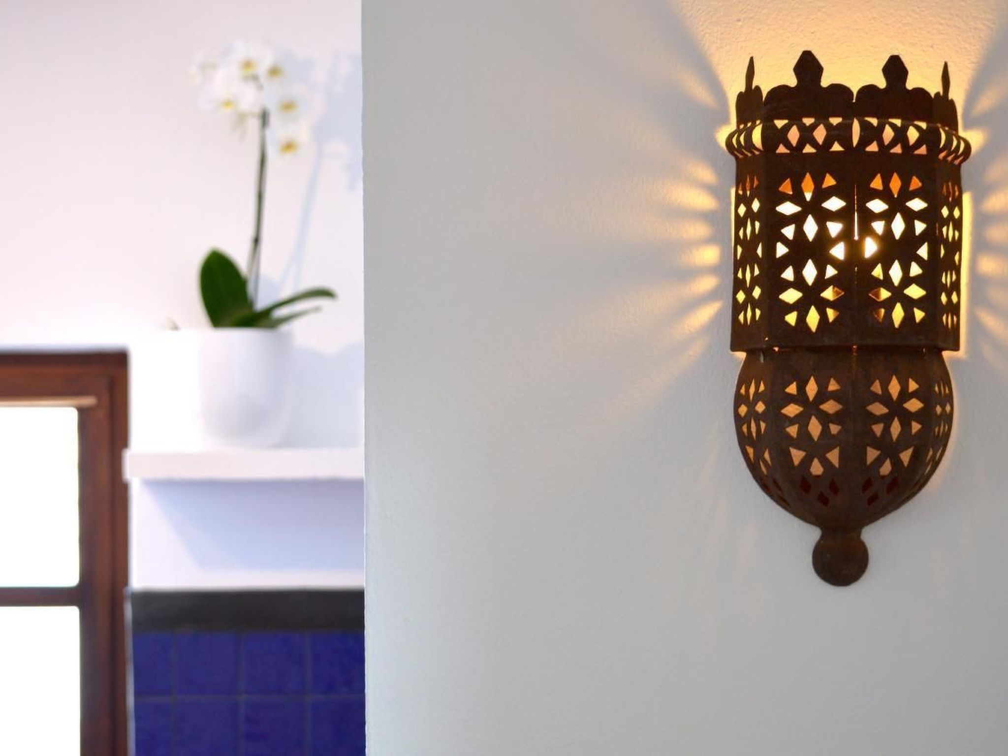 Appartement Casa Hibisco mit schönem Garten-Binnen