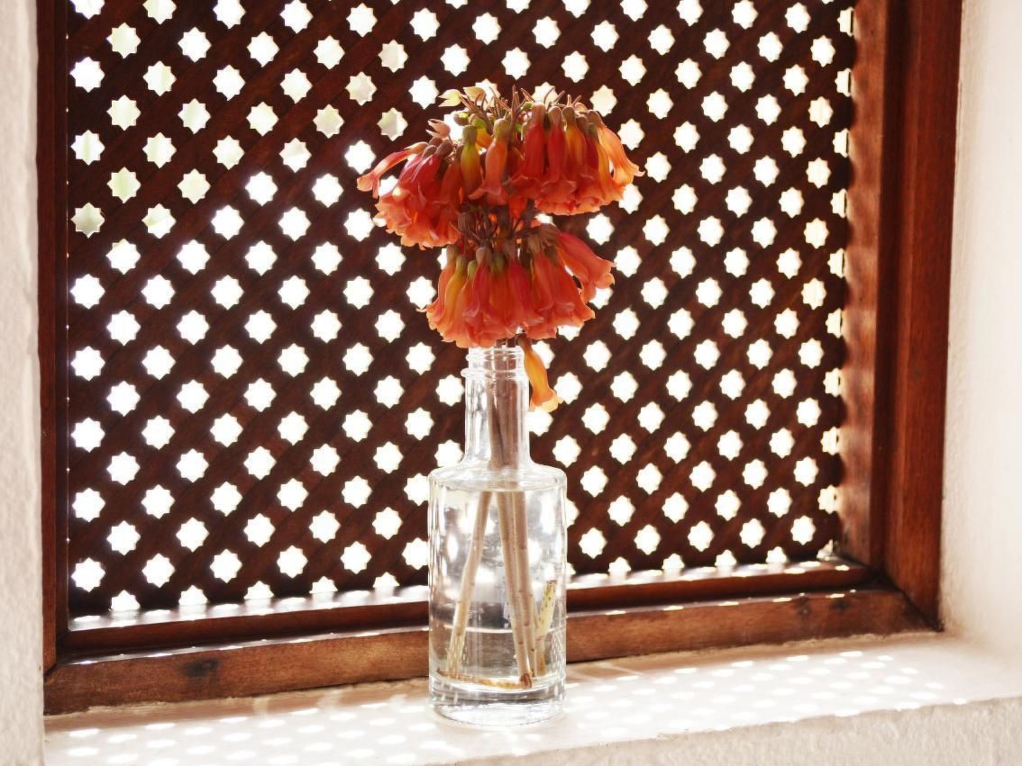 Appartement Casa Hibisco mit schönem Garten-Binnen