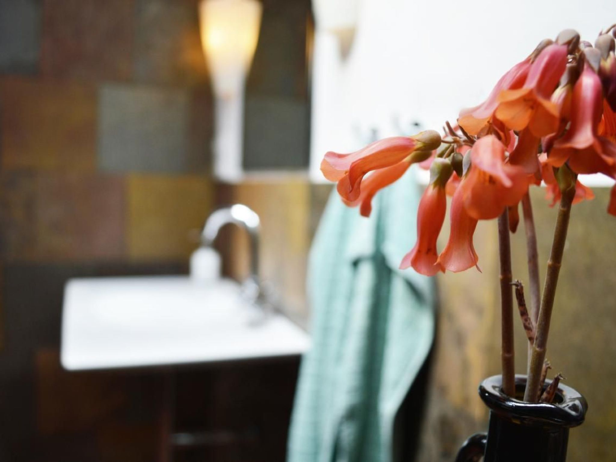 Appartement Casa Hibisco mit schönem Garten-Binnen