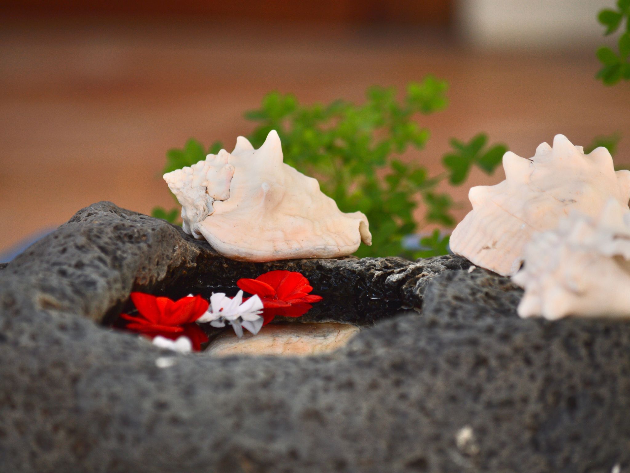 Appartement Casa Hibisco mit schönem Garten-Binnen