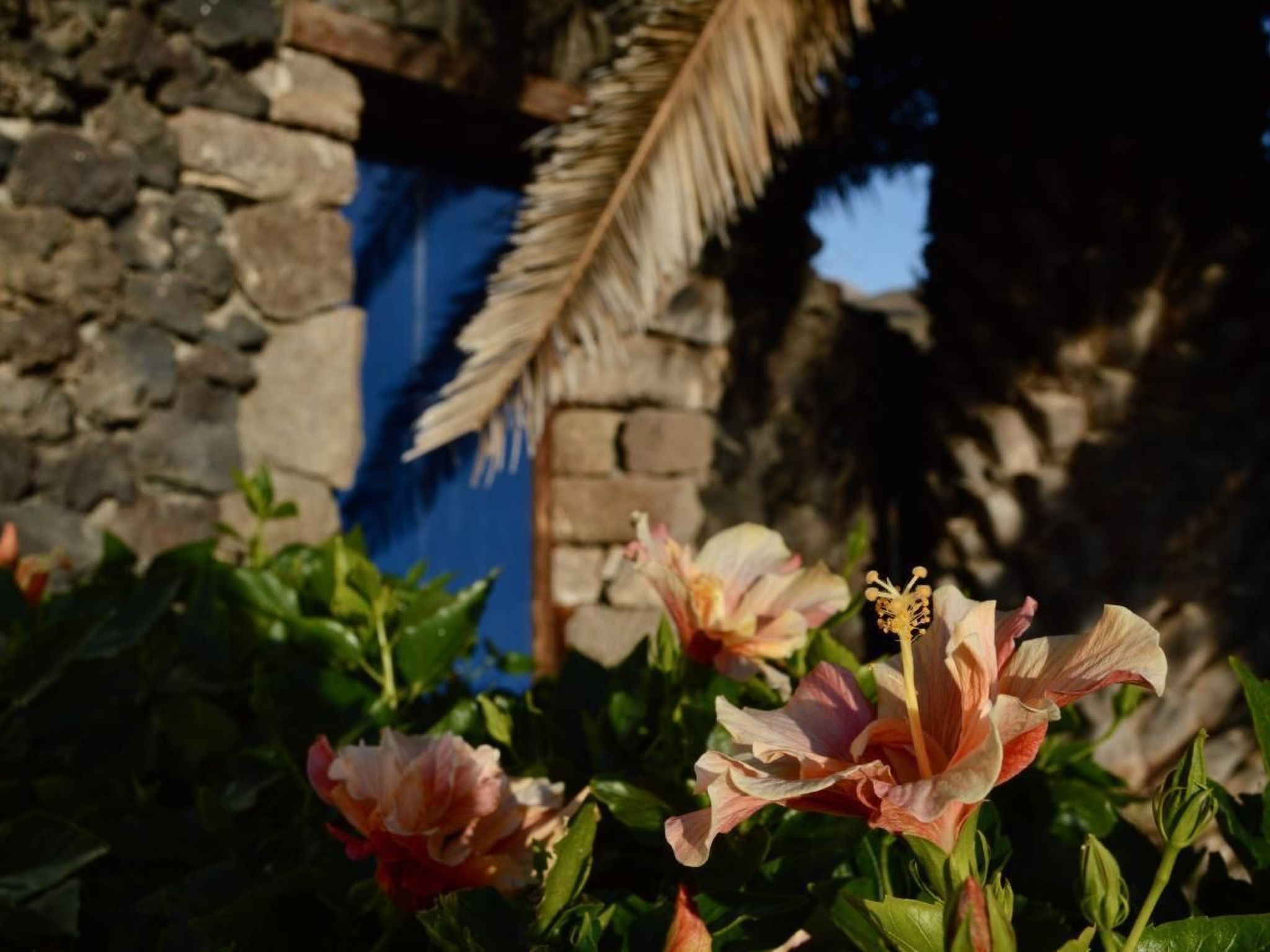 Appartement Casa Hibisco mit schönem Garten-Binnen