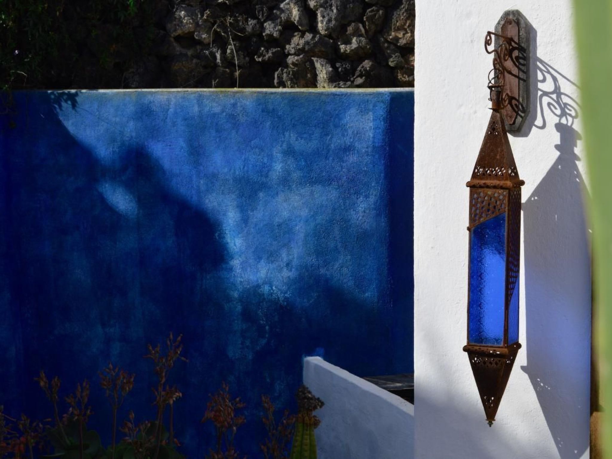 Appartement Casa Hibisco mit schönem Garten-Binnen