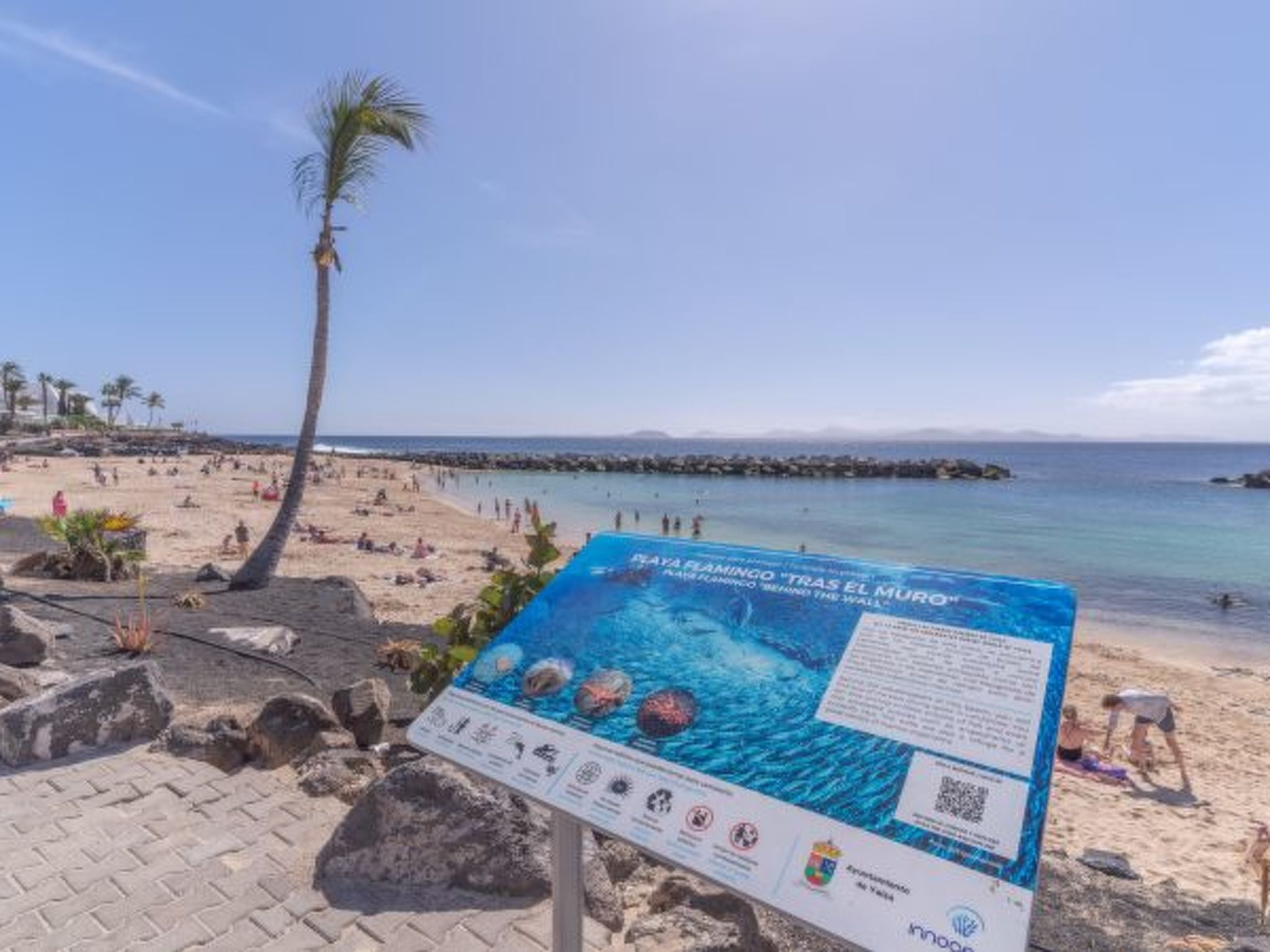 Photo of PLAYA FLAMINGO C