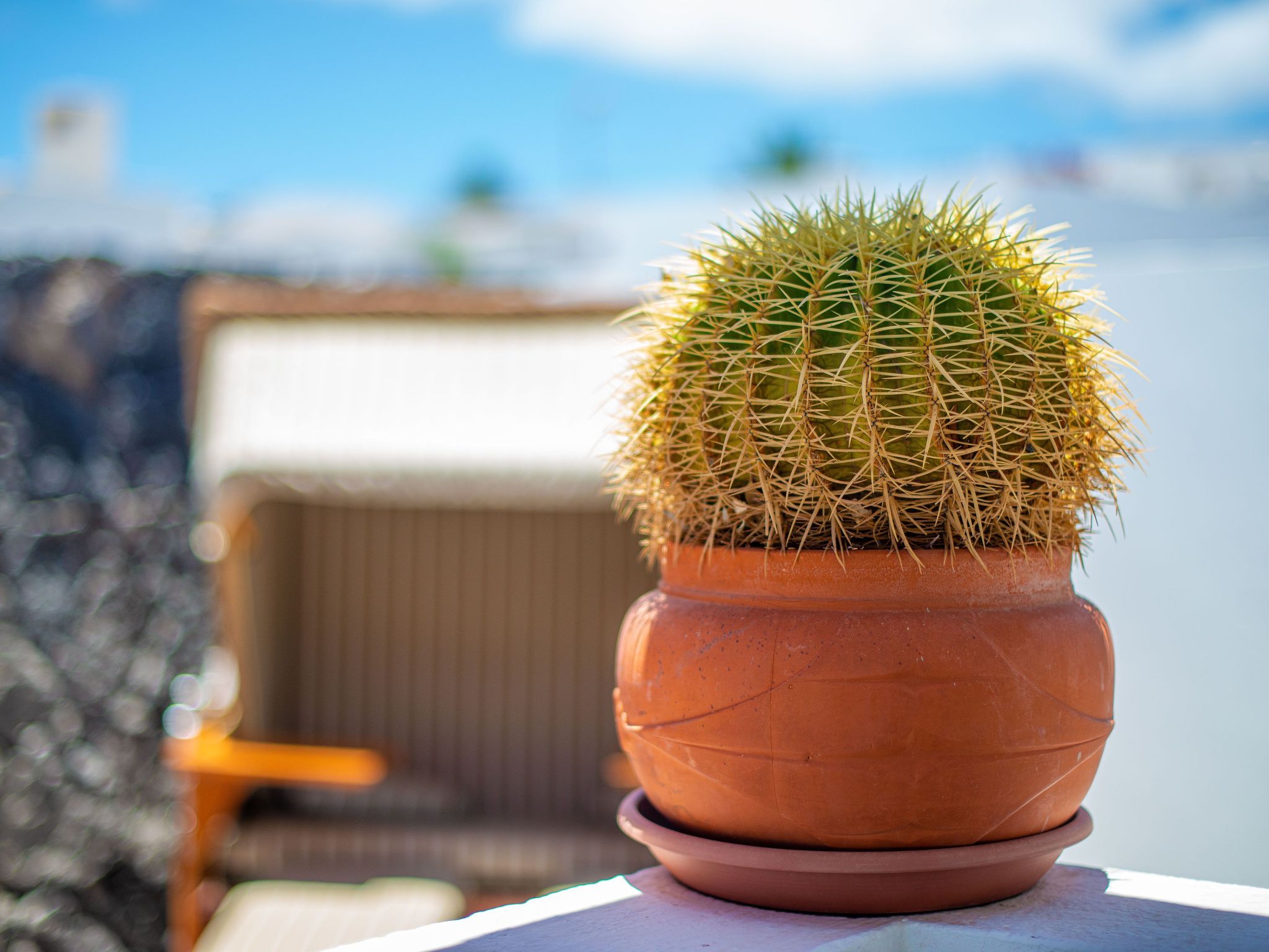 Photo of mit Whirlpool