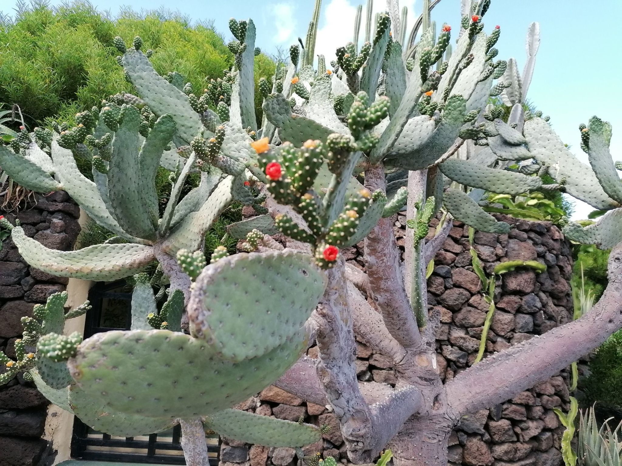 Photo of mit Whirlpool