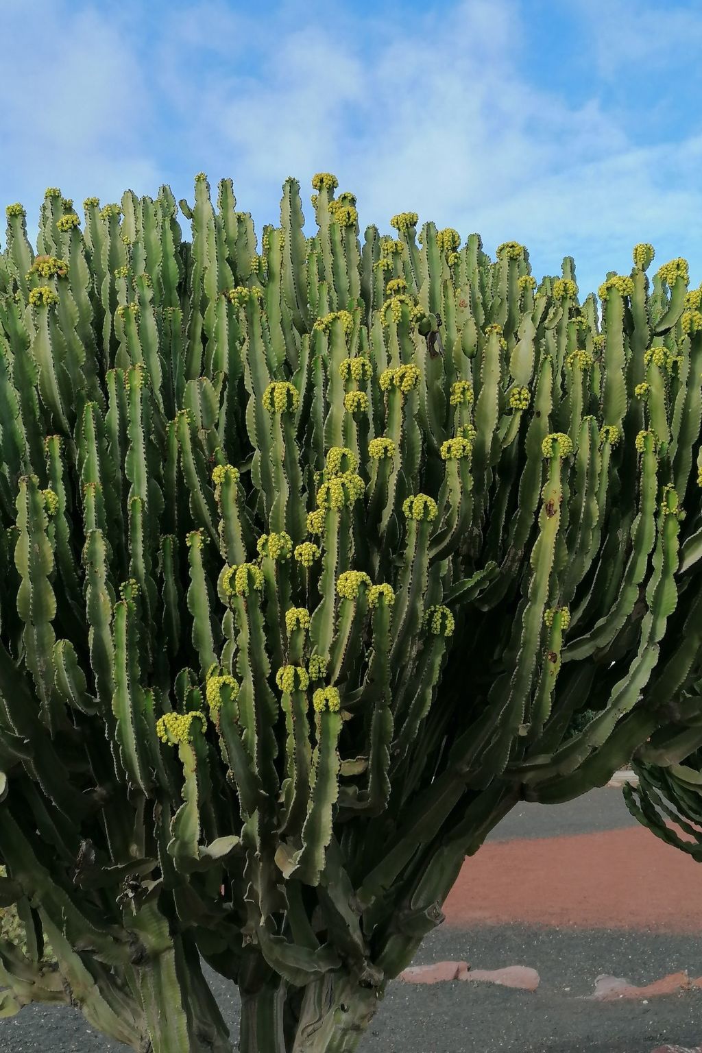 Photo of mit Whirlpool