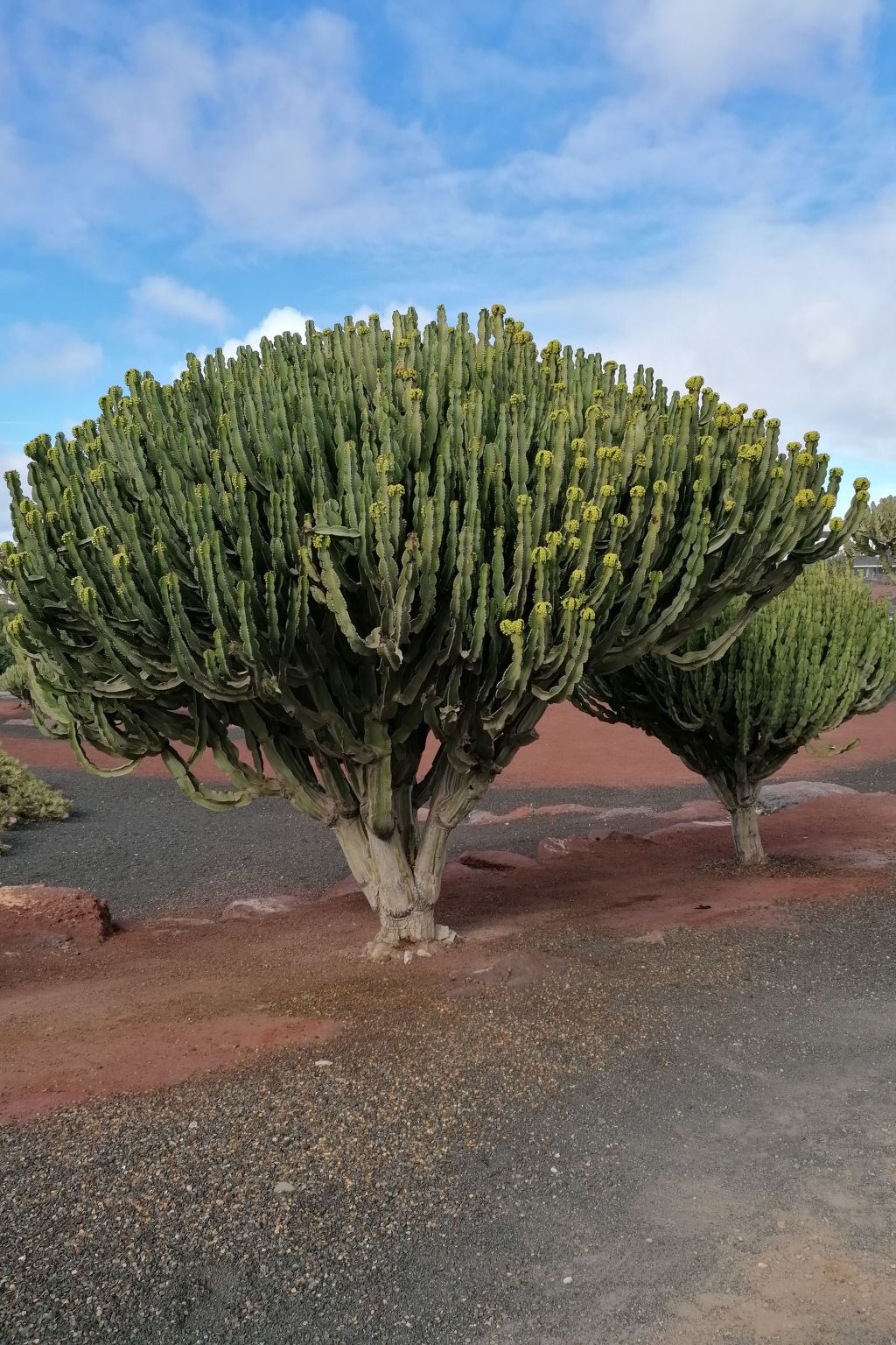 Photo of mit Whirlpool