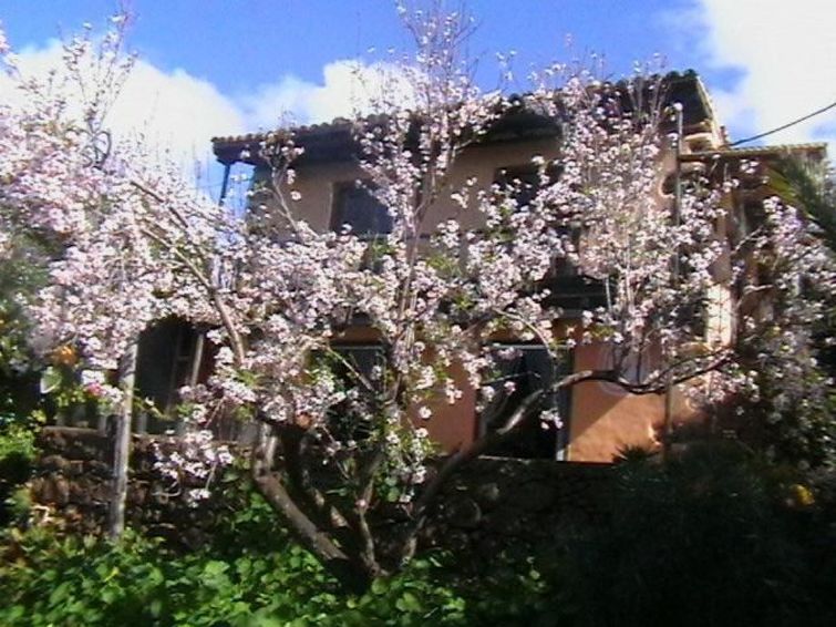 Bio Finca Los Hondos - La Palma