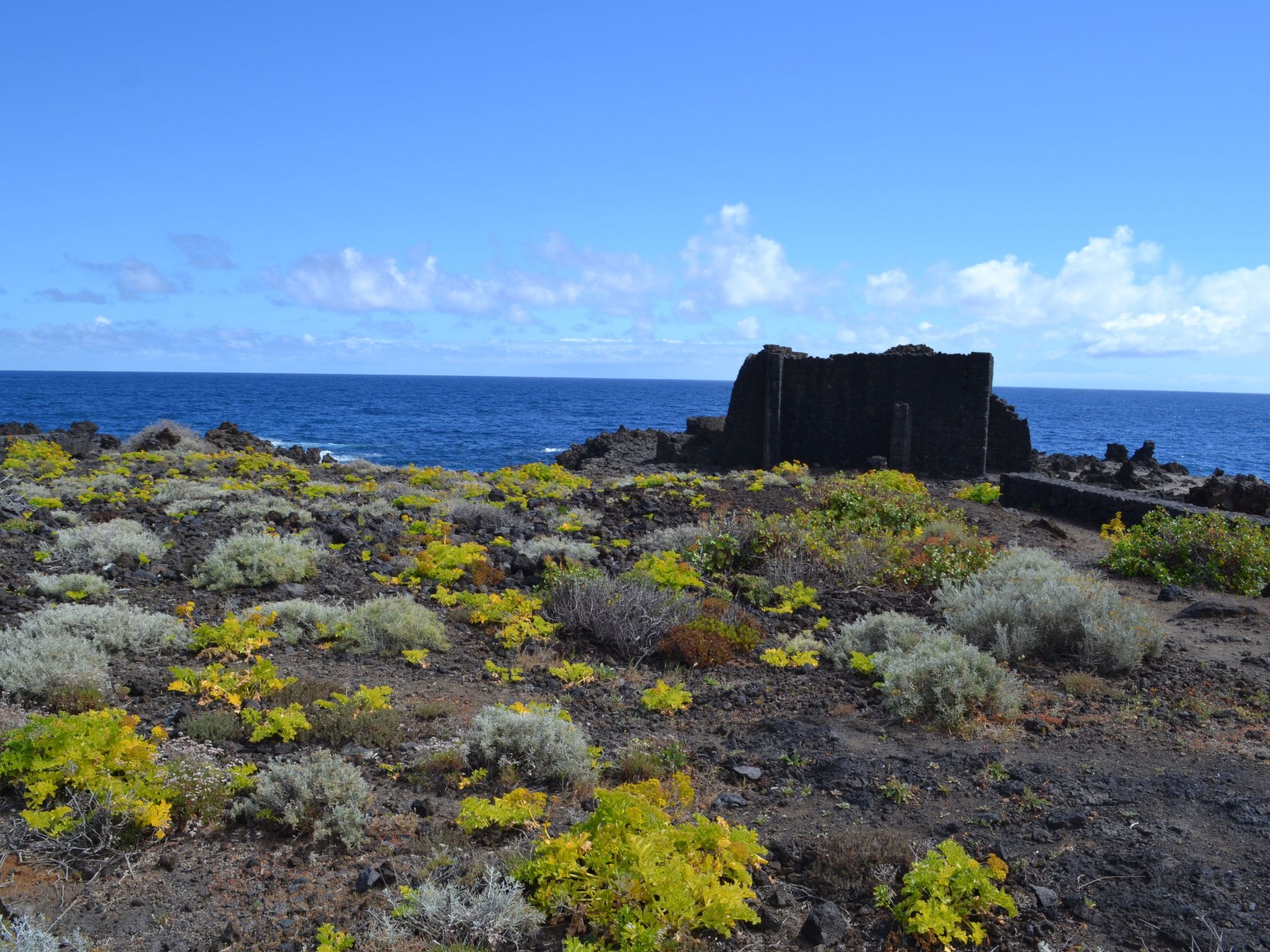 Strand und Entspannung Wohnung-Binnen