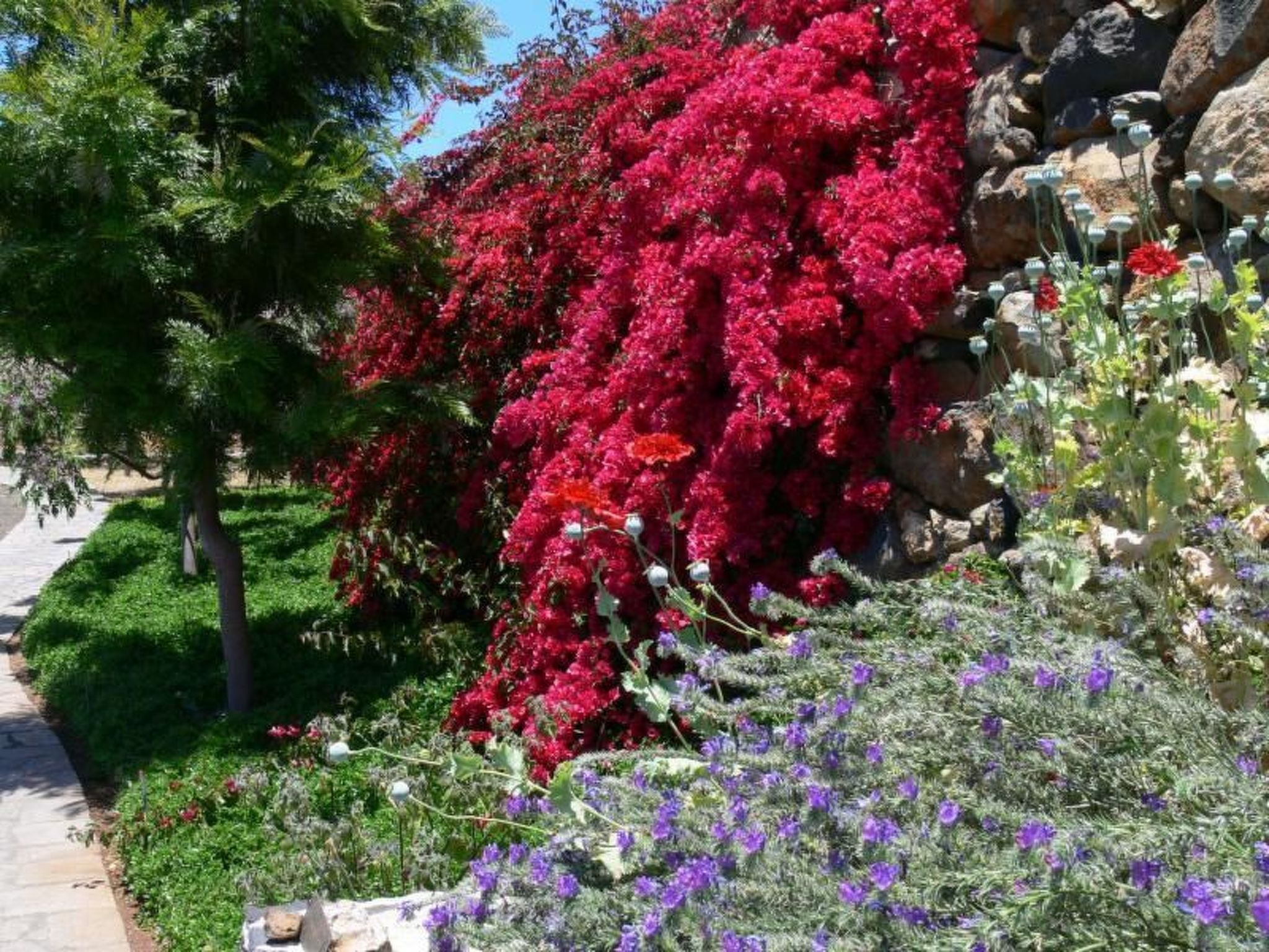 Nettes Ferienhaus in Tijarafe mit Privatem Pool und Panoramablick-Image-tags.info