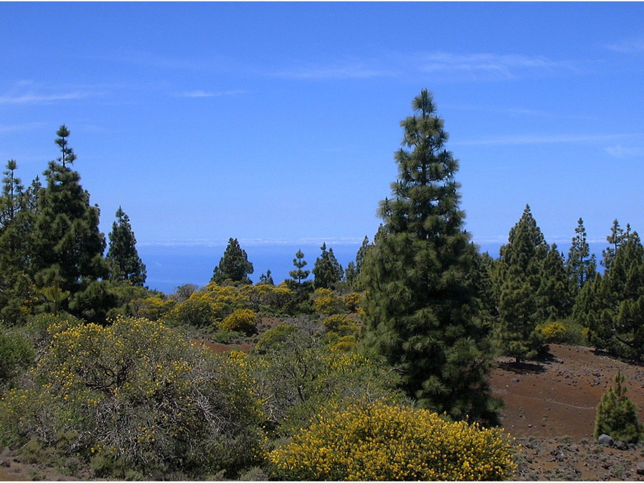 Nettes Ferienhaus in Tijarafe mit Privatem Pool und Panoramablick-Image-tags.info
