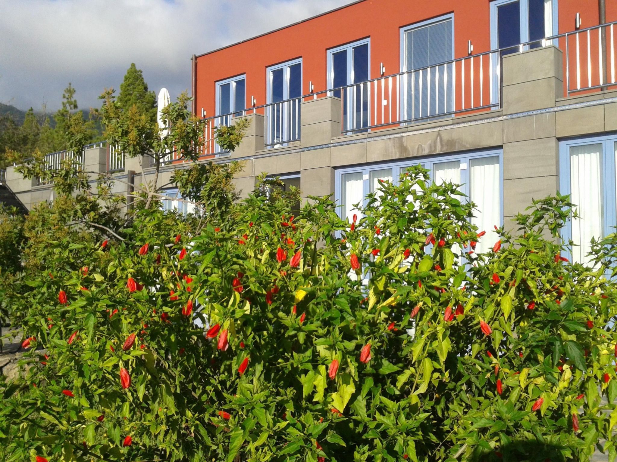 Villa Atlantico-Image-tags.info