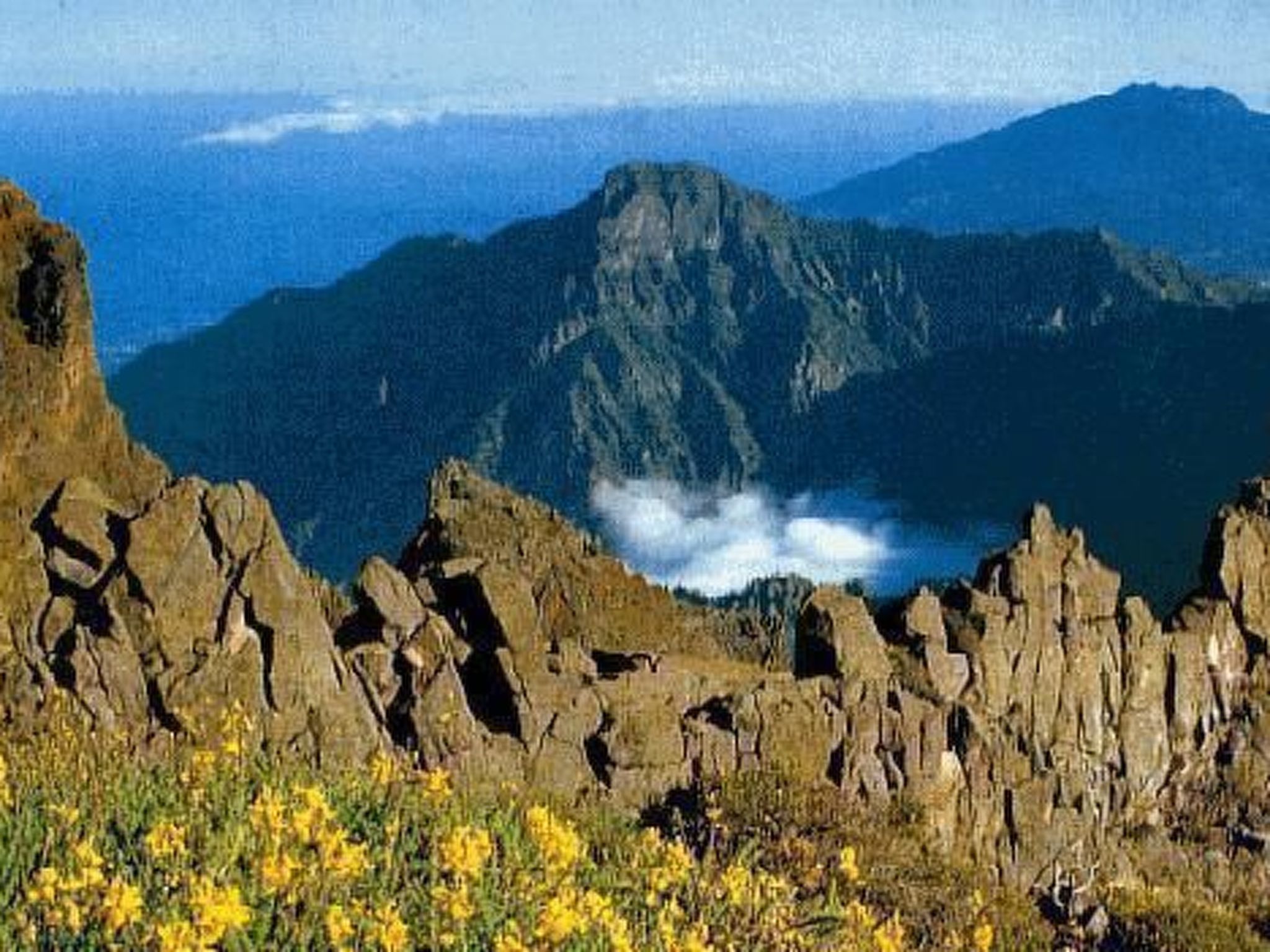 Villa Atlantico-Image-tags.info