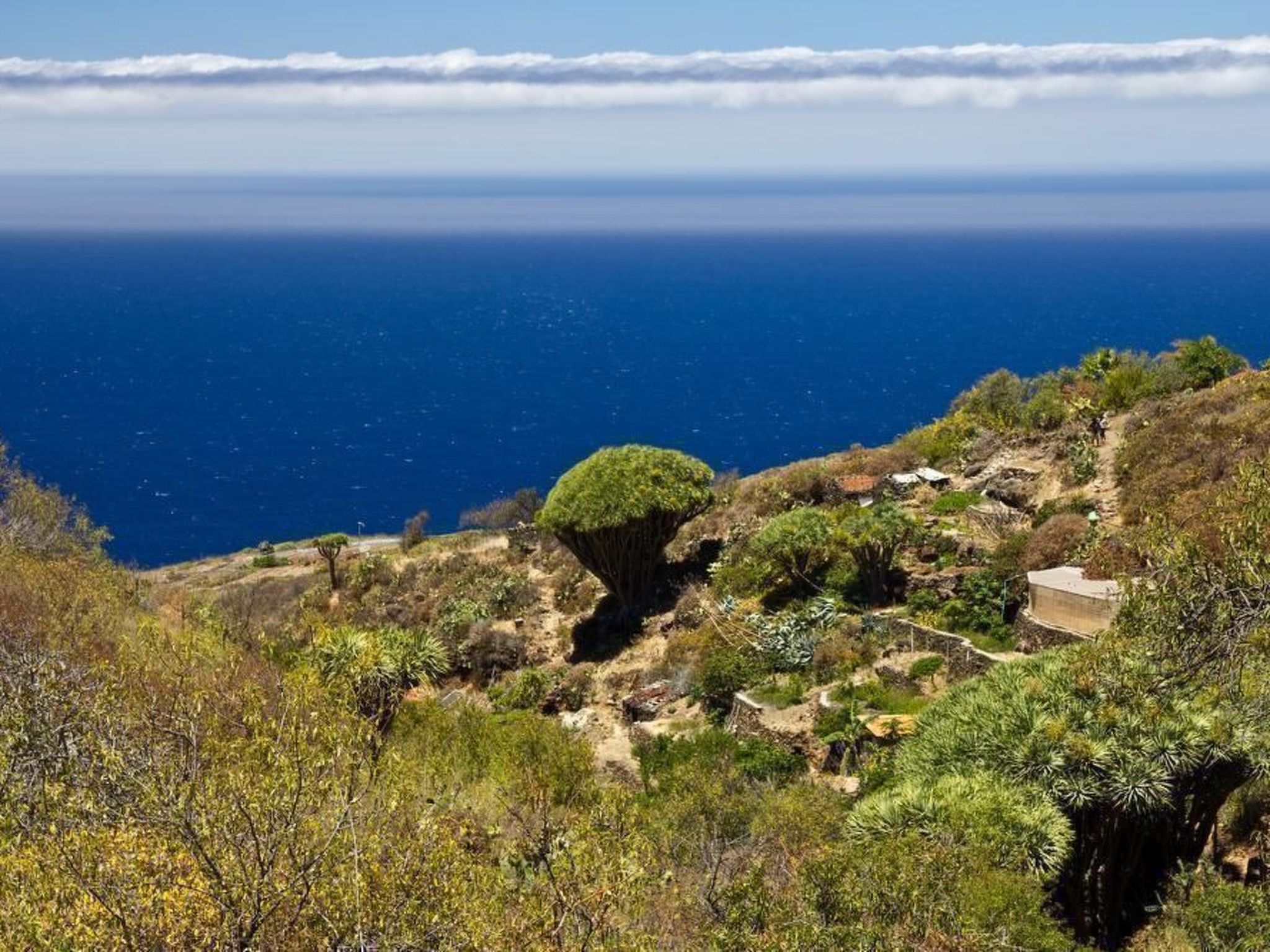 Villa Atlantico-Image-tags.info