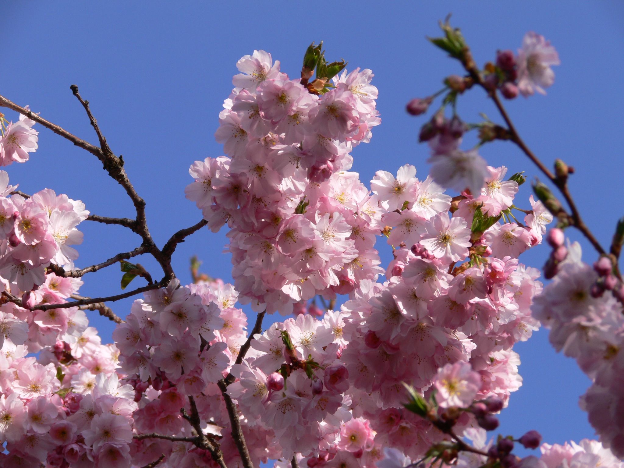Anspruchsvolle Ferienvilla mit Panoramablick-Image-tags.info