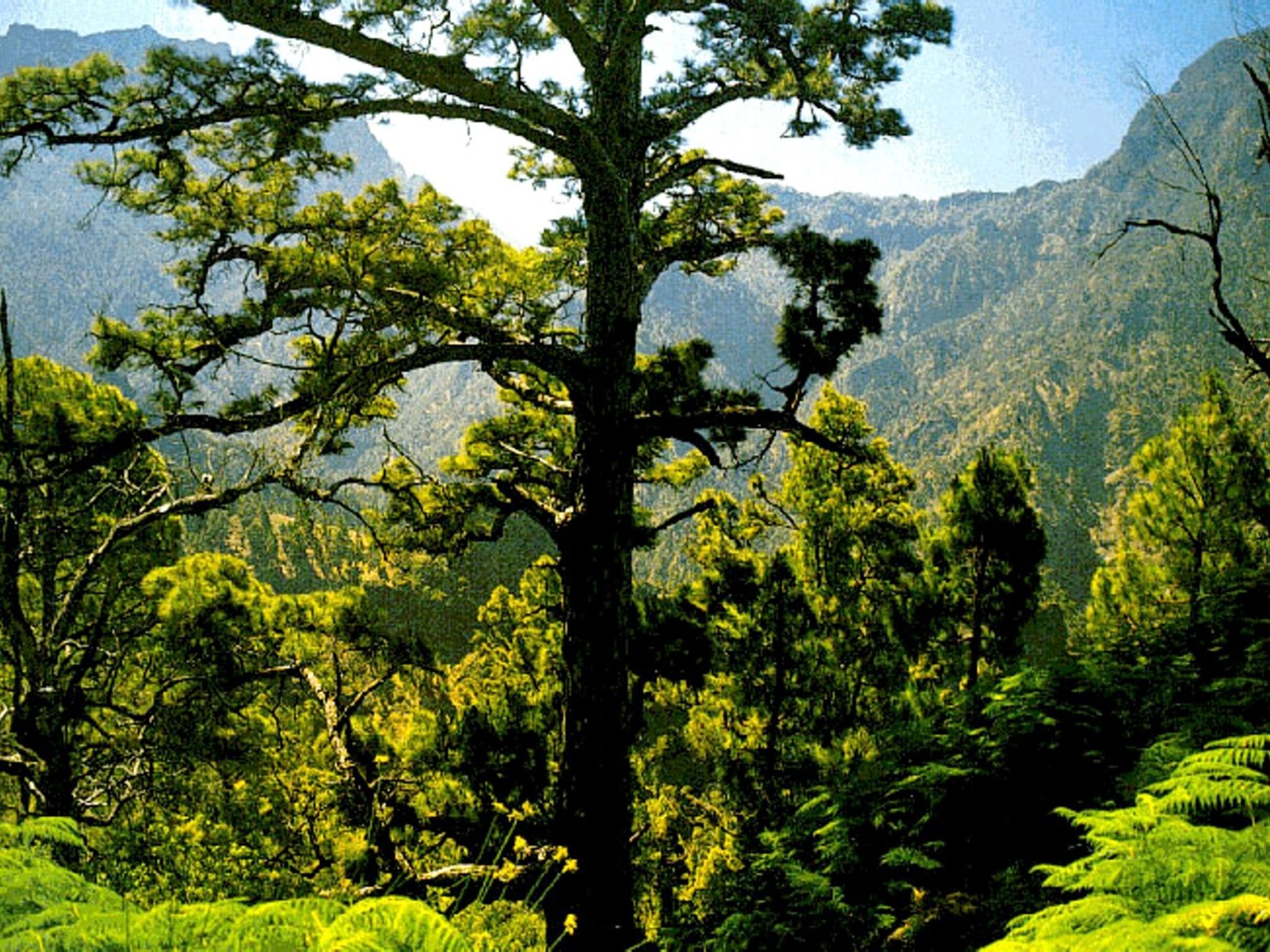 Anspruchsvolle Ferienvilla mit Panoramablick-Image-tags.info