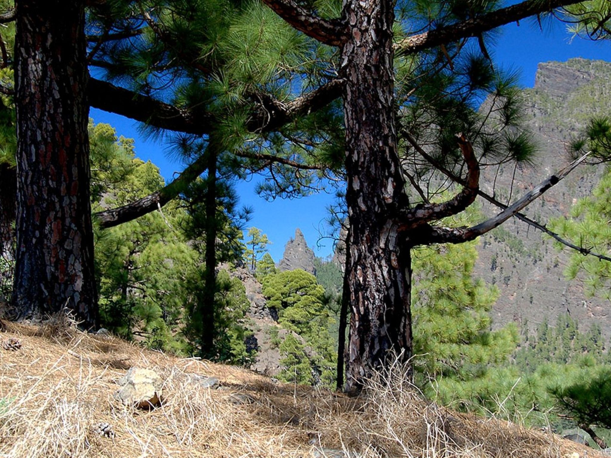 Anspruchsvolle Ferienvilla mit Panoramablick-Image-tags.info