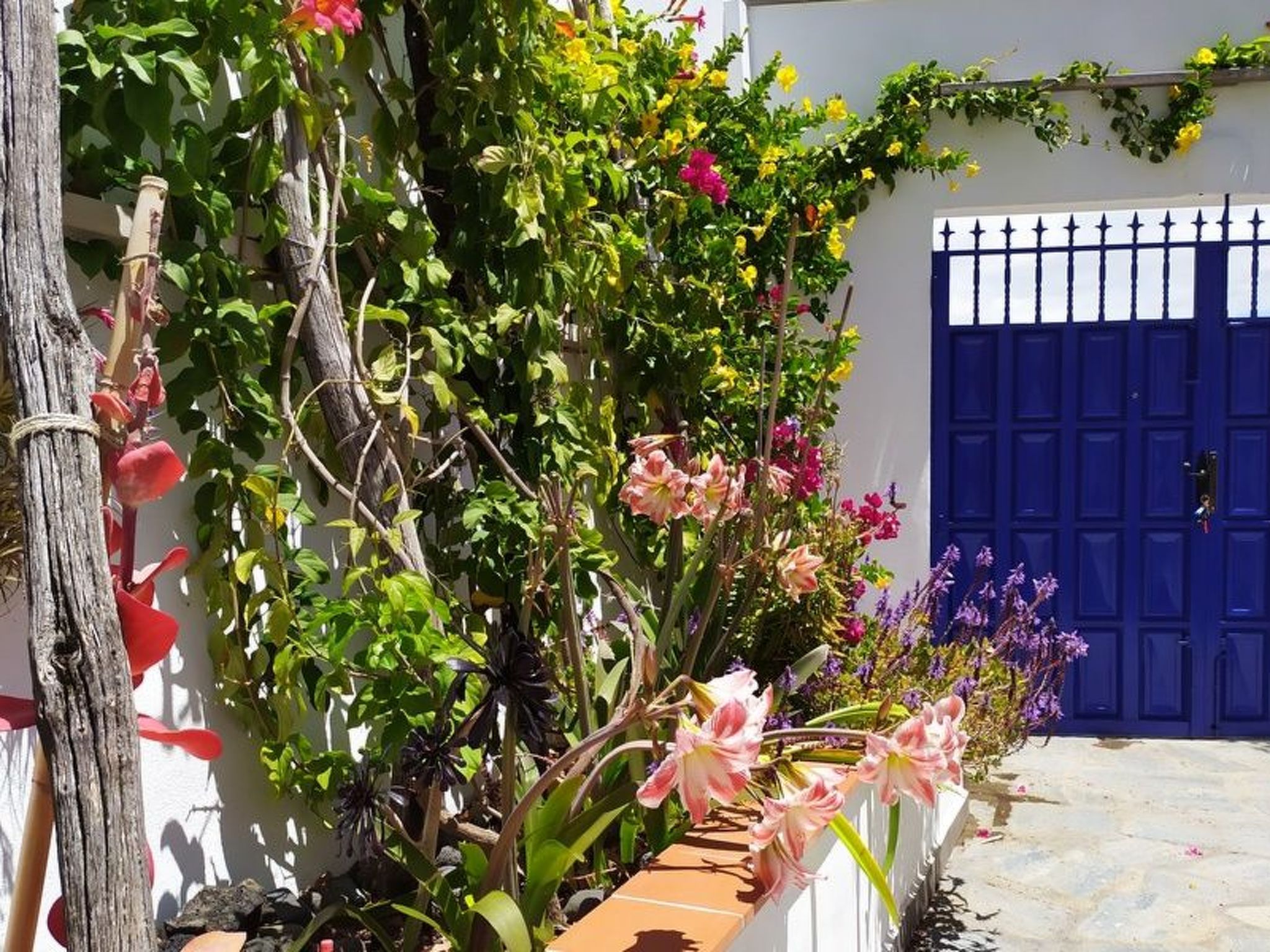 Haus Vista Caldera-Binnen