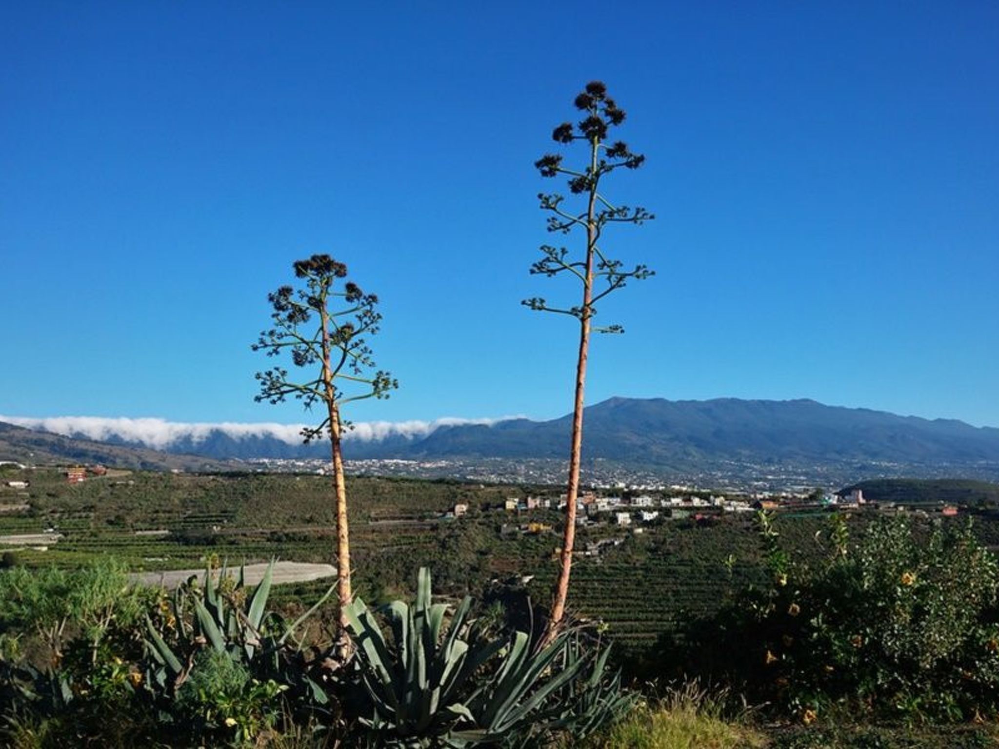 Haus Vista Caldera-Binnen