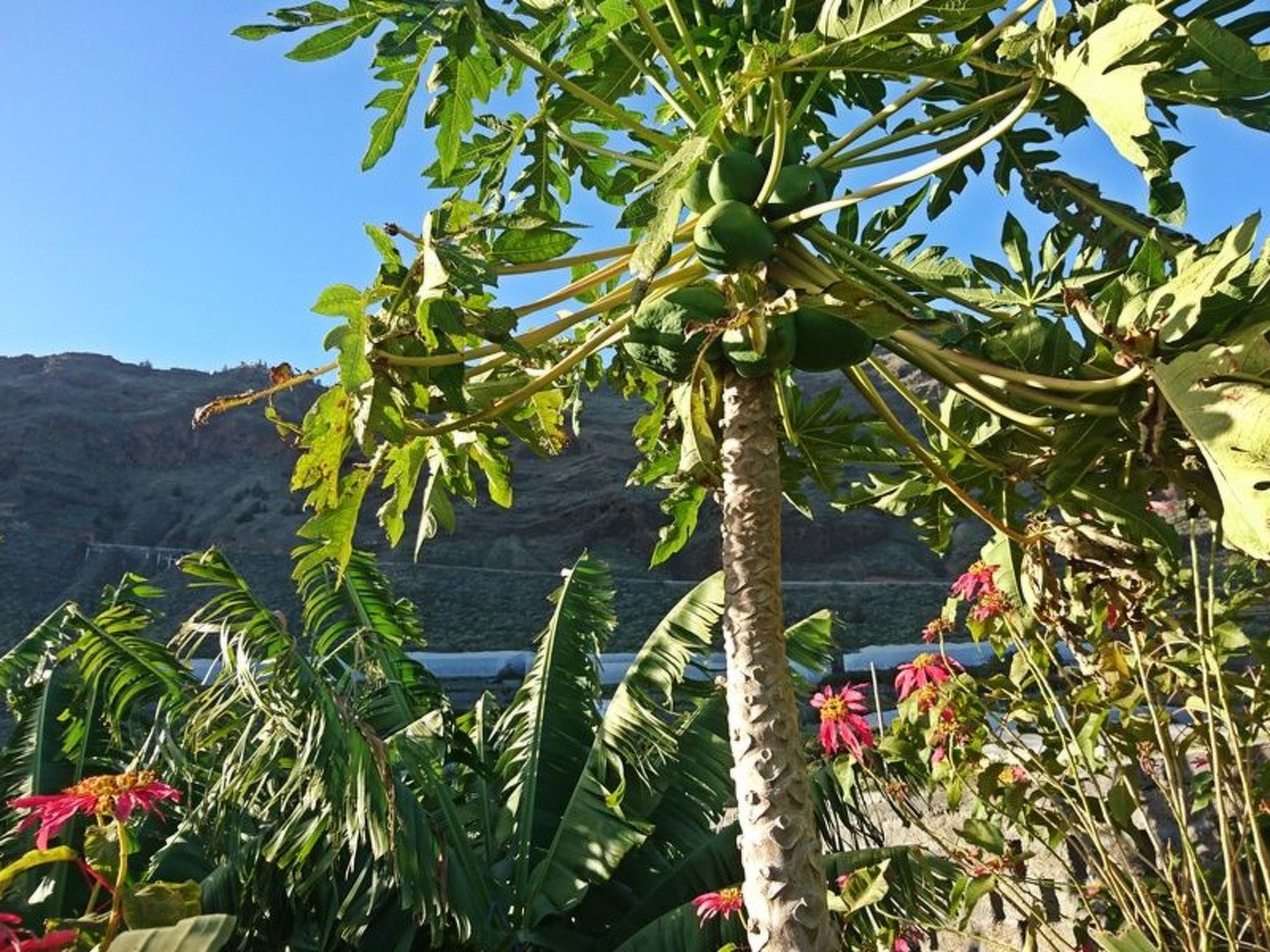 Haus Vista Caldera-Binnen