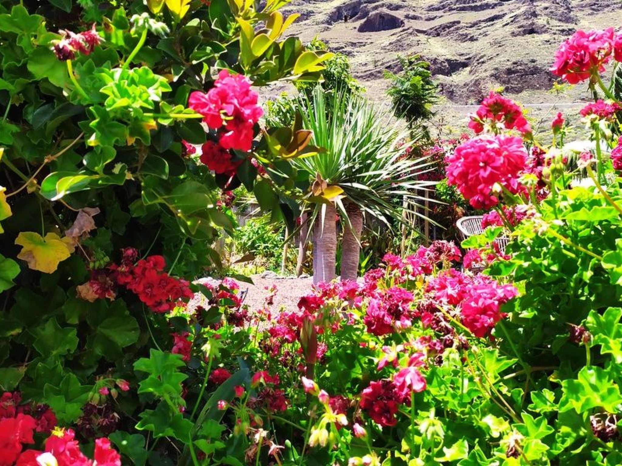 Haus Vista Caldera-Binnen