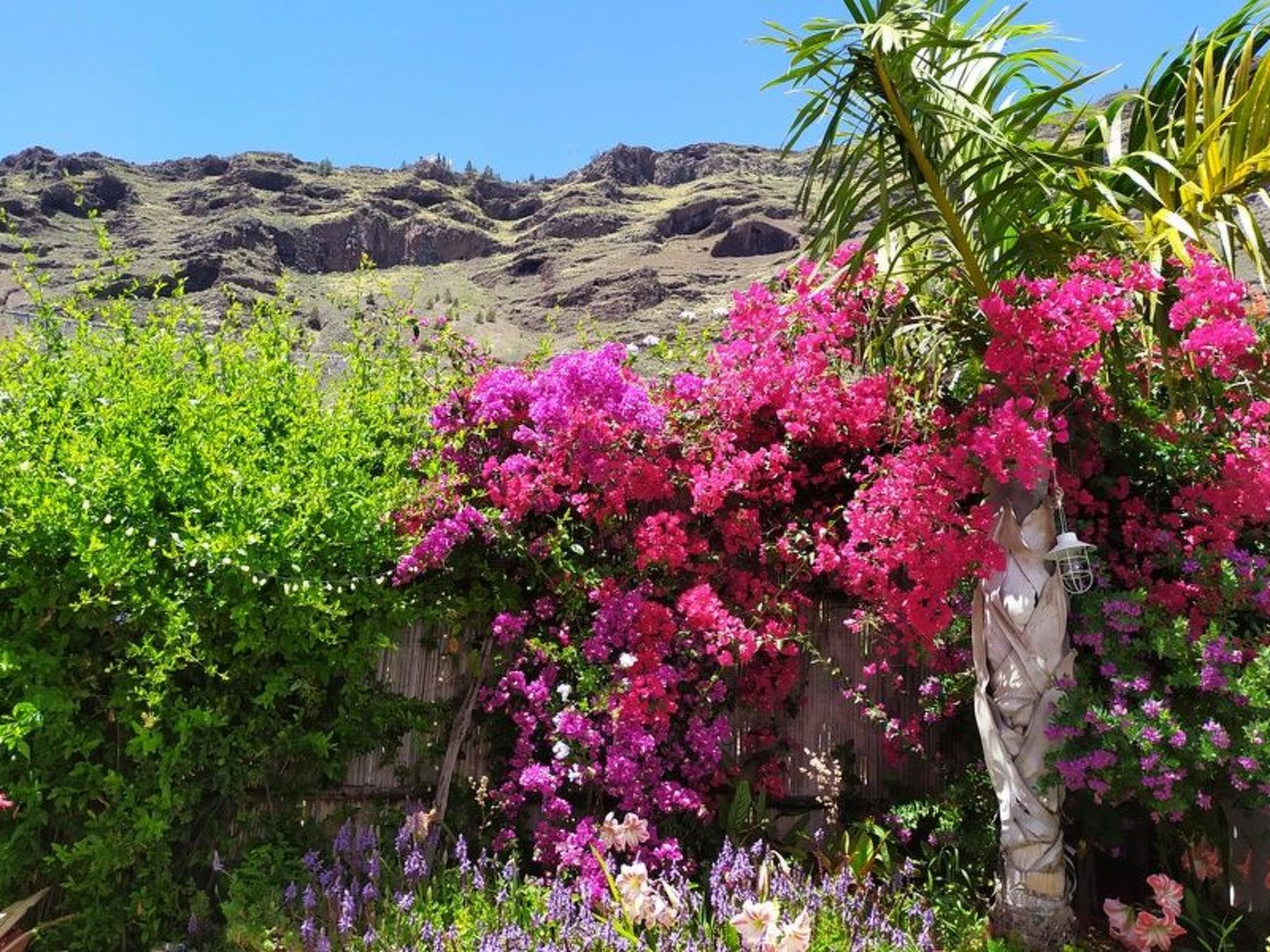 Haus Vista Caldera-Binnen