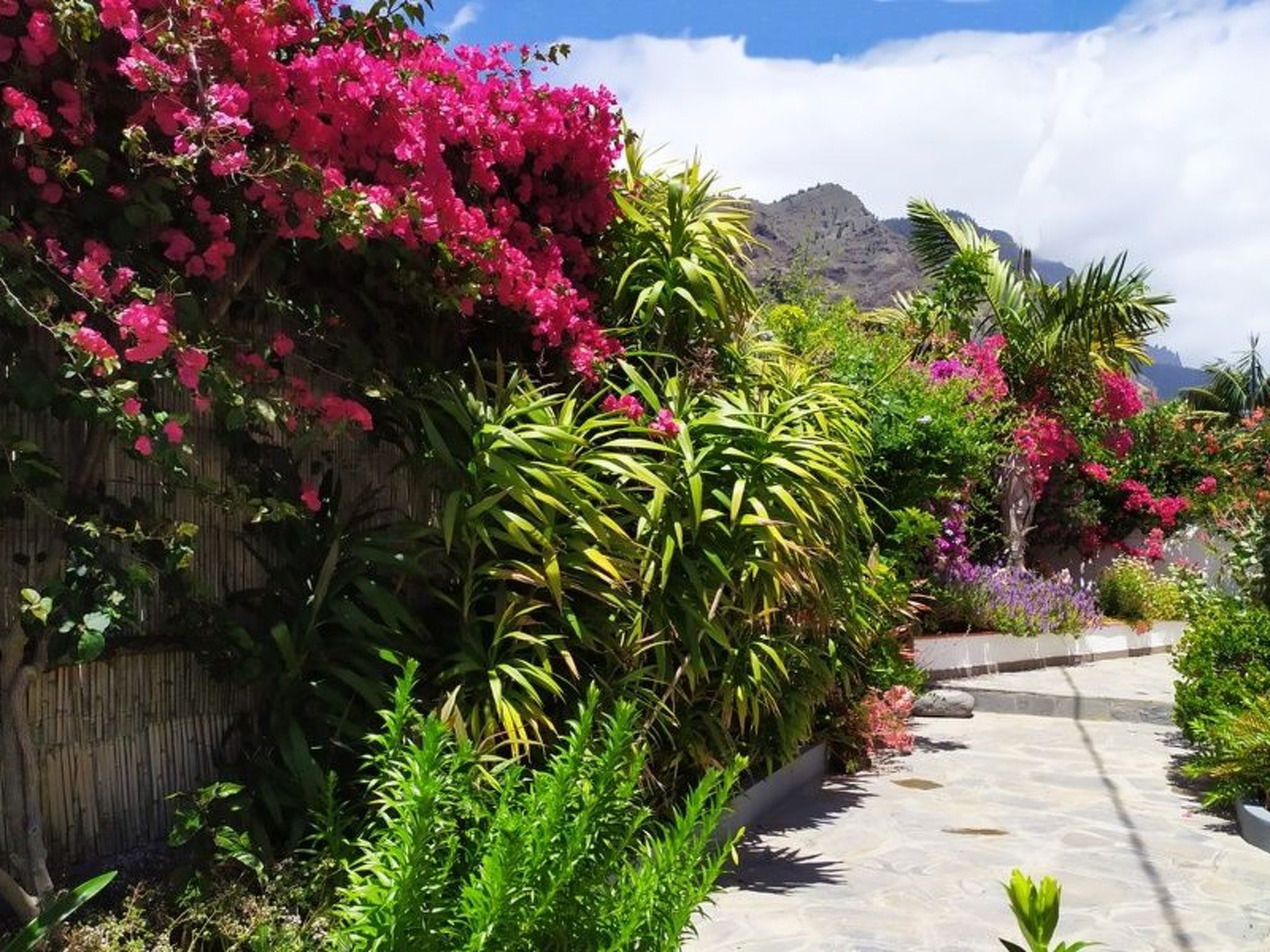 Haus Vista Caldera-Binnen