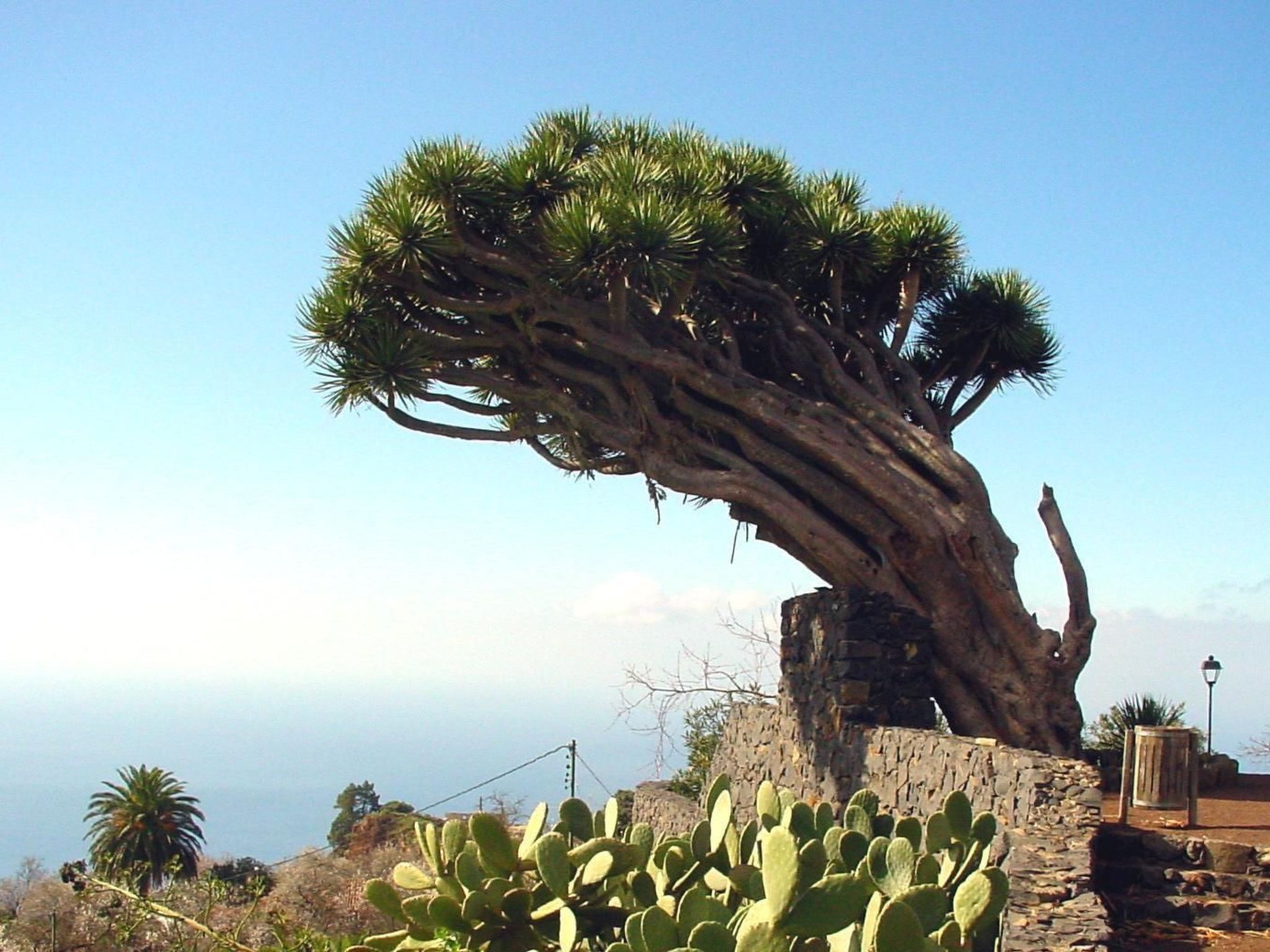 Ruhige Finca Topo del Drago mit Meerblick-Binnen