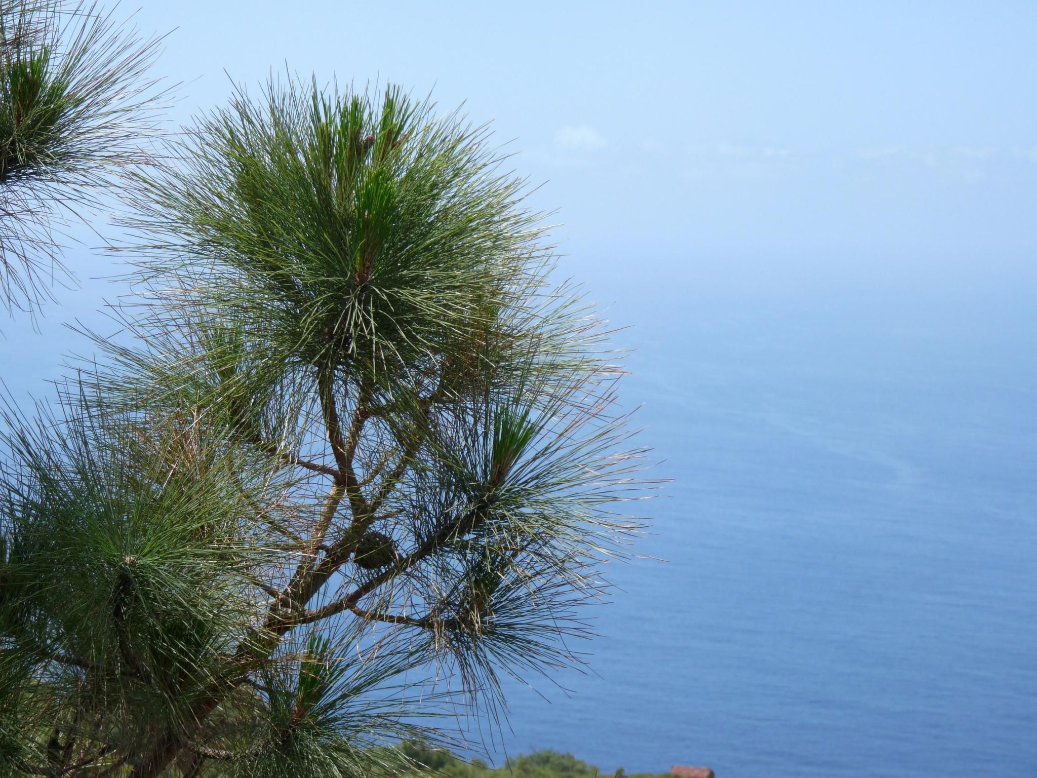 Ruhige Finca Topo del Drago mit Meerblick-Binnen