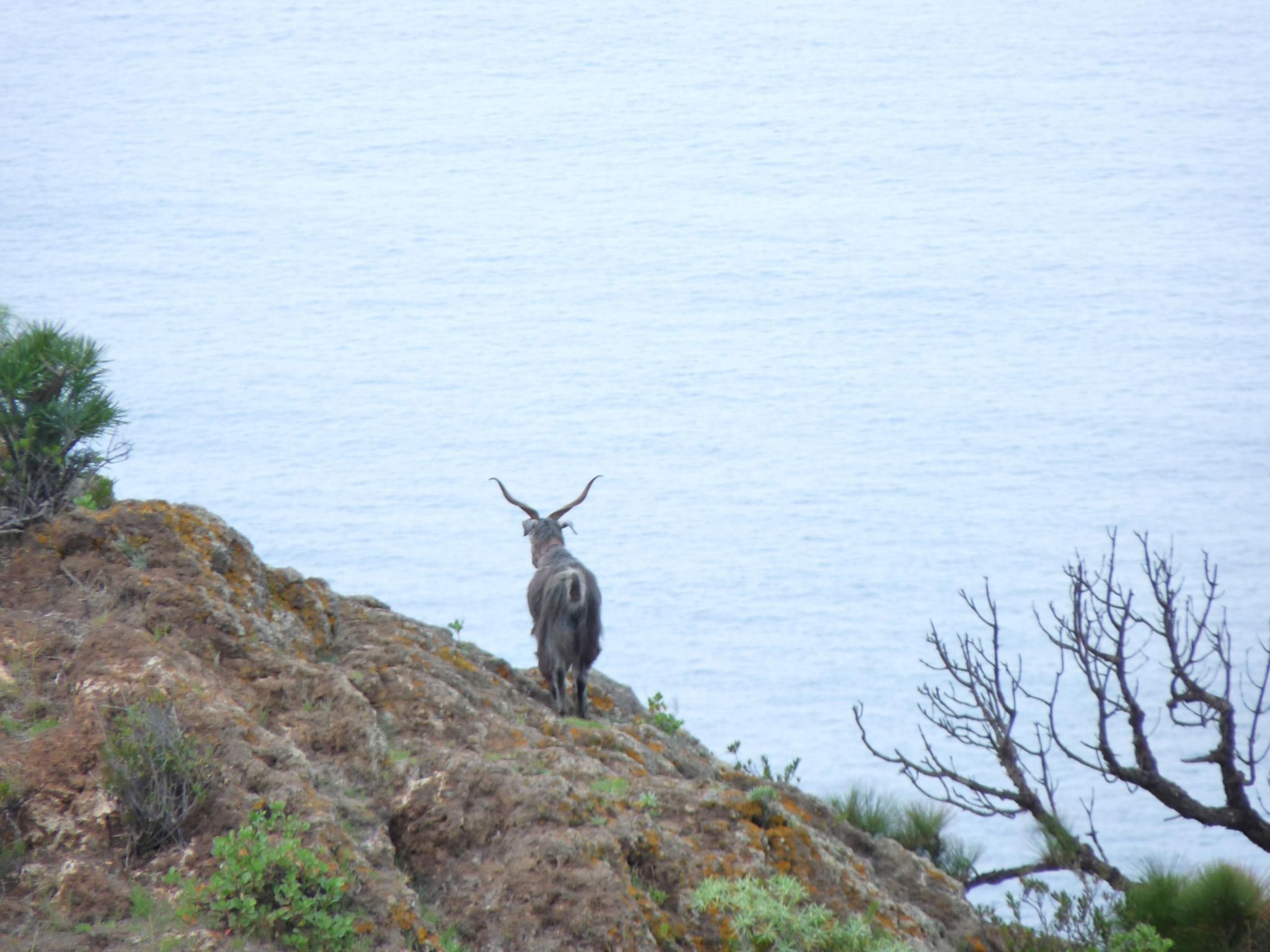 Ruhige Finca Topo del Drago mit Meerblick-Binnen