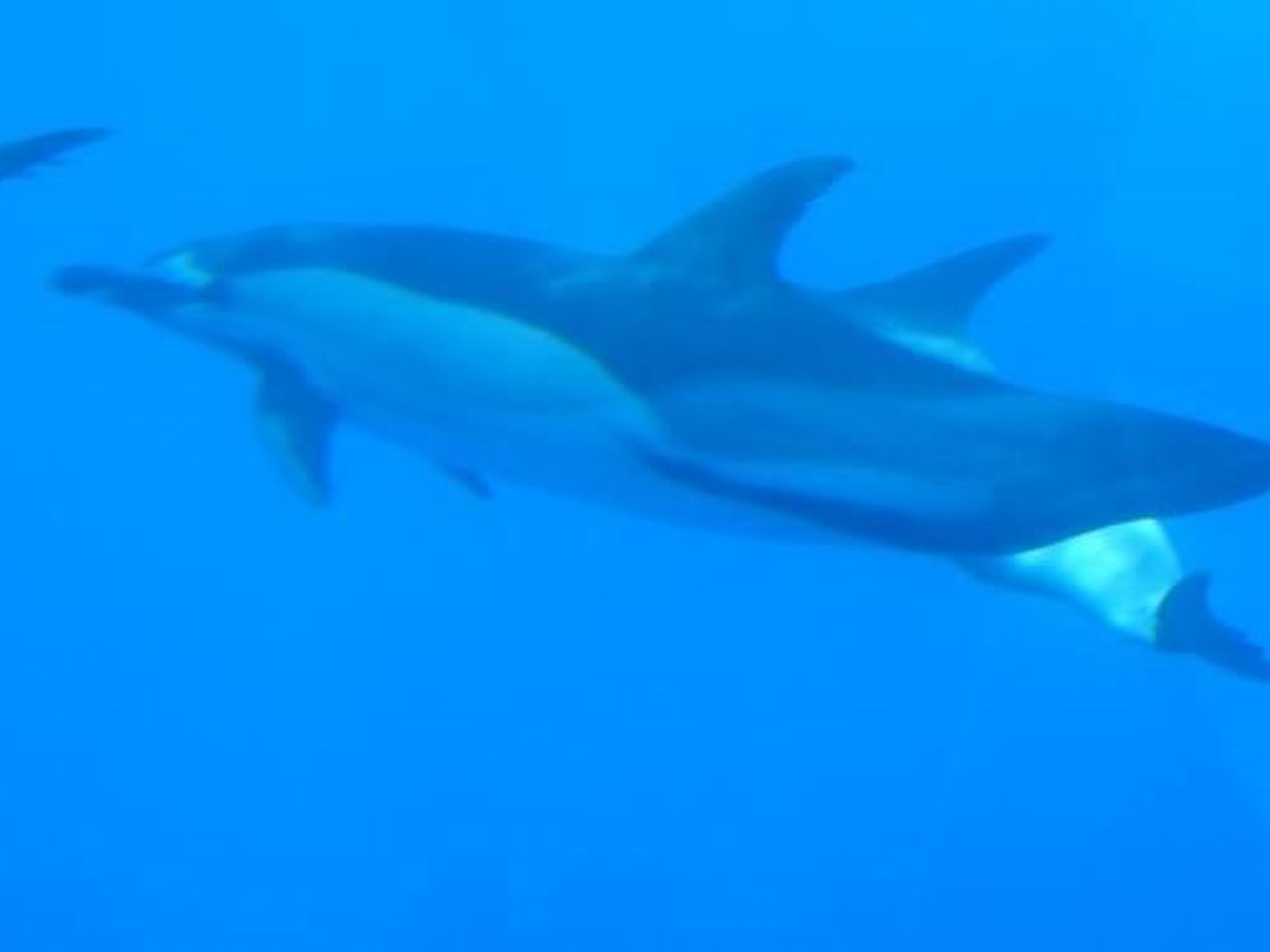 Ruhige Finca Topo del Drago mit Meerblick-Binnen