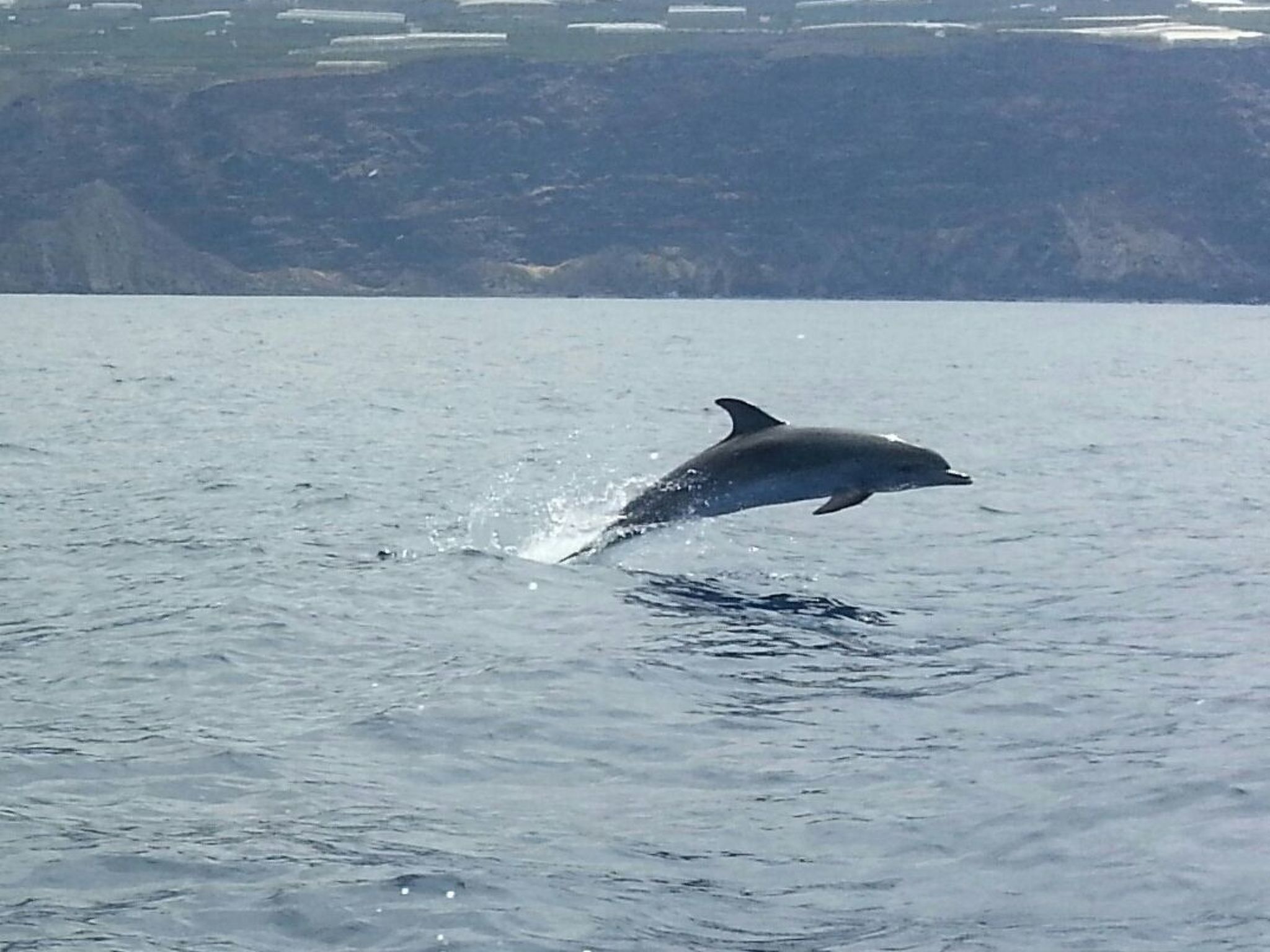 Ruhige Finca Topo del Drago mit Meerblick-Binnen