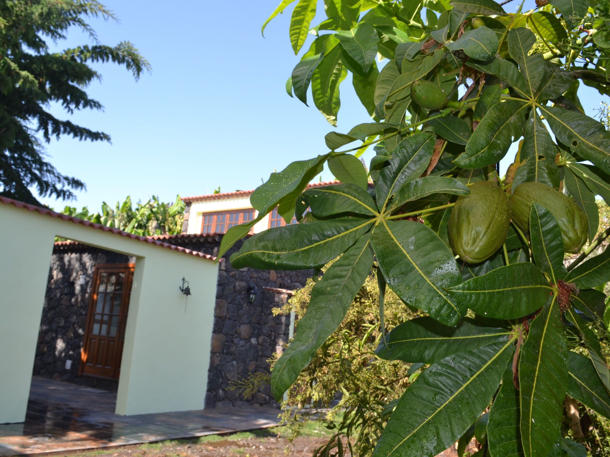 "Ecofinca" mit privatem Pool-Image-tags.info