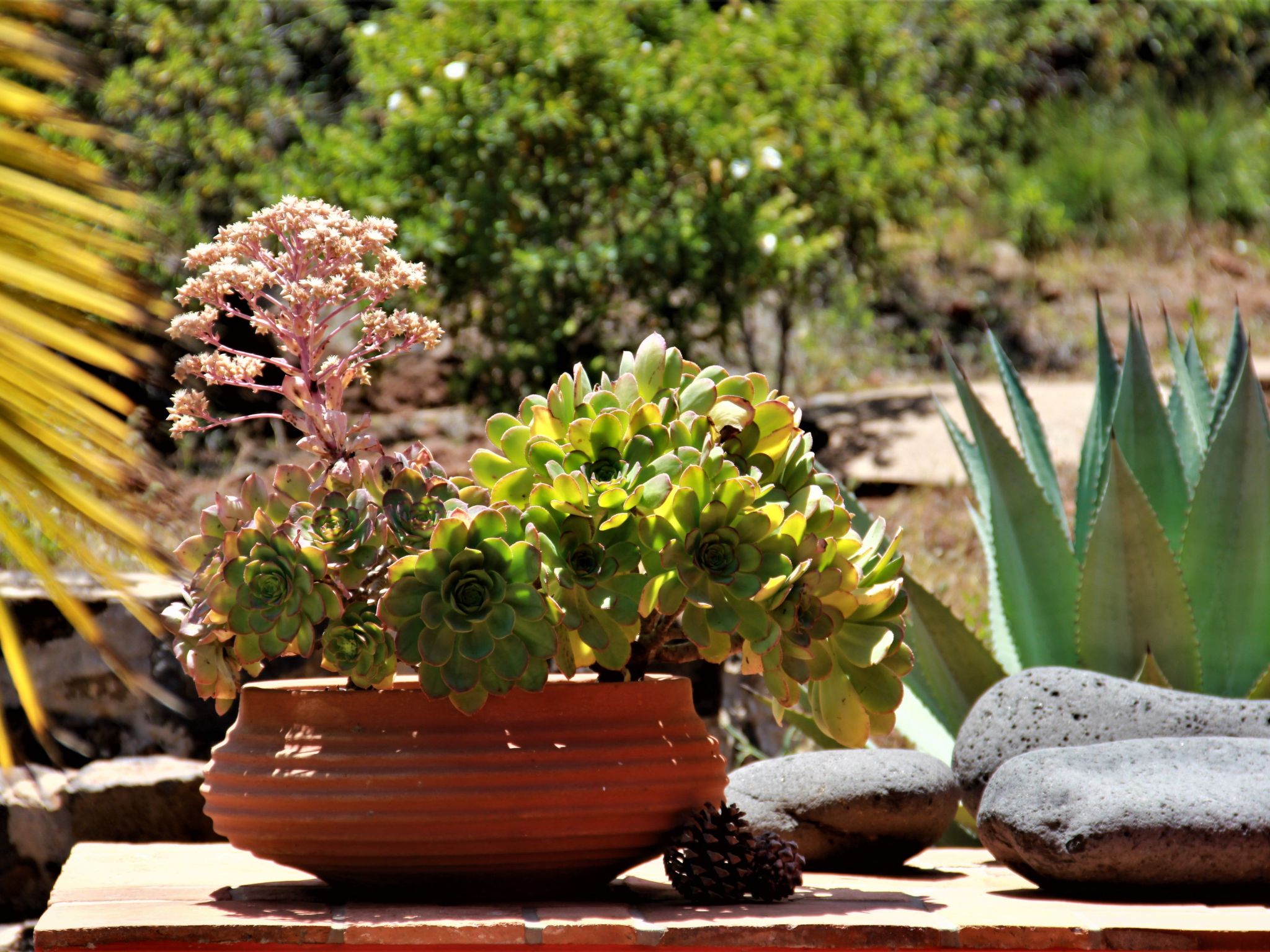 Villa Miramar-Binnen