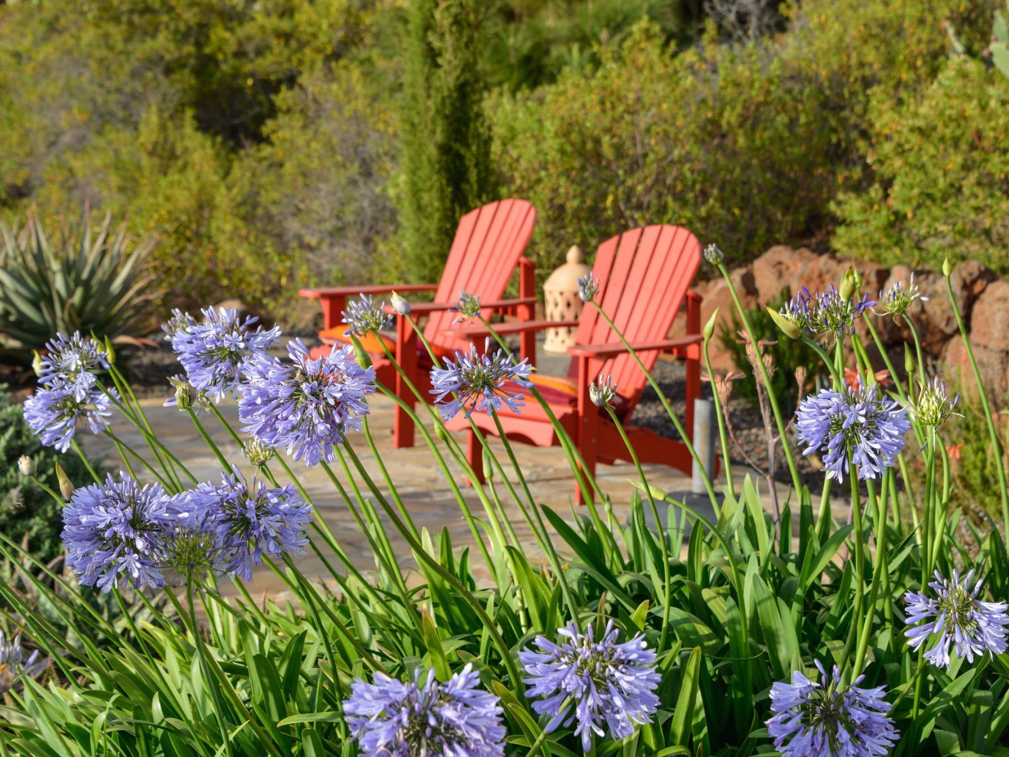 Villa Infinite Place-Binnen