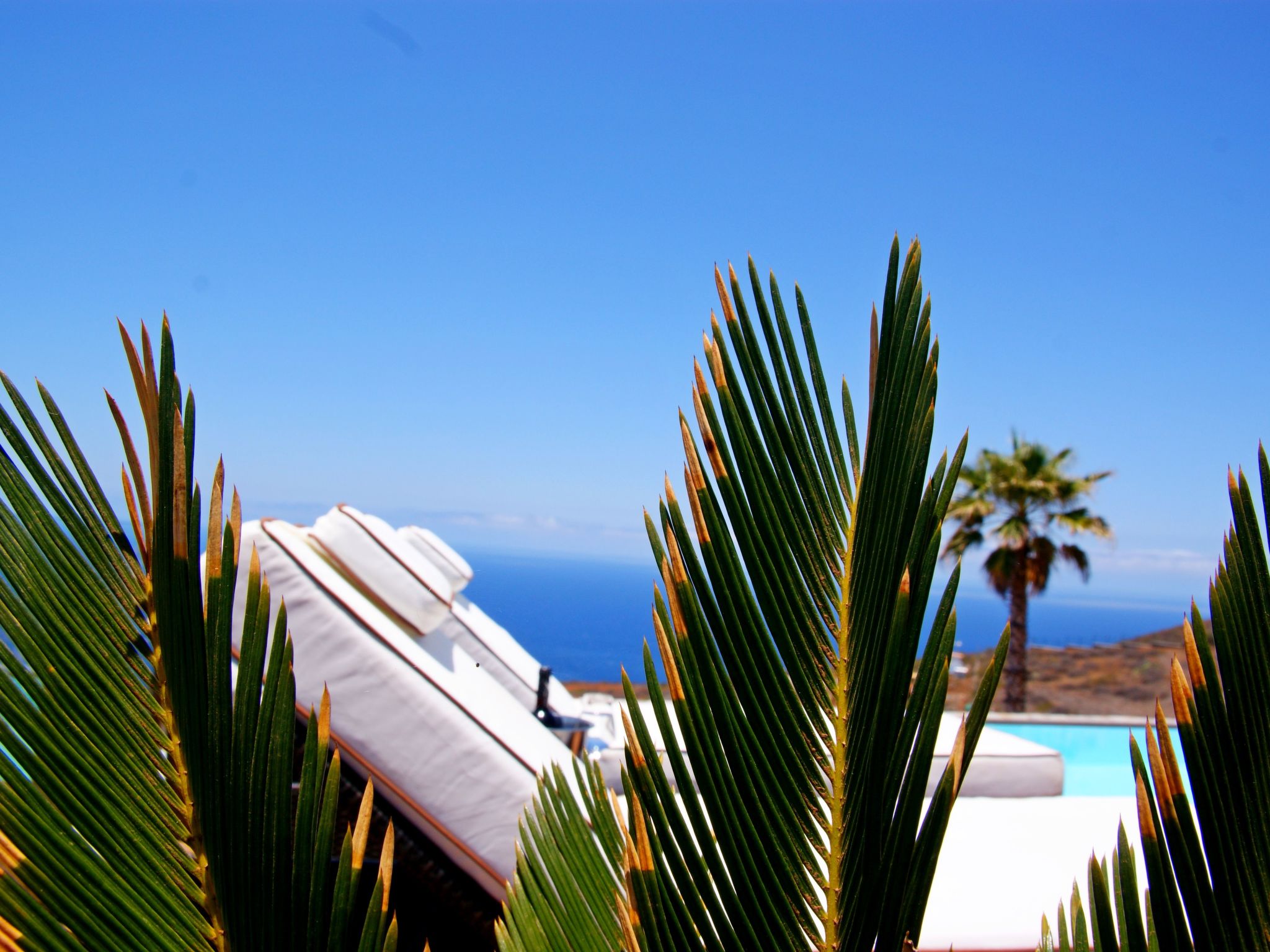 Moderne Architekten-Villa mit Infinity-Pool und Meerblick-Image-tags.info