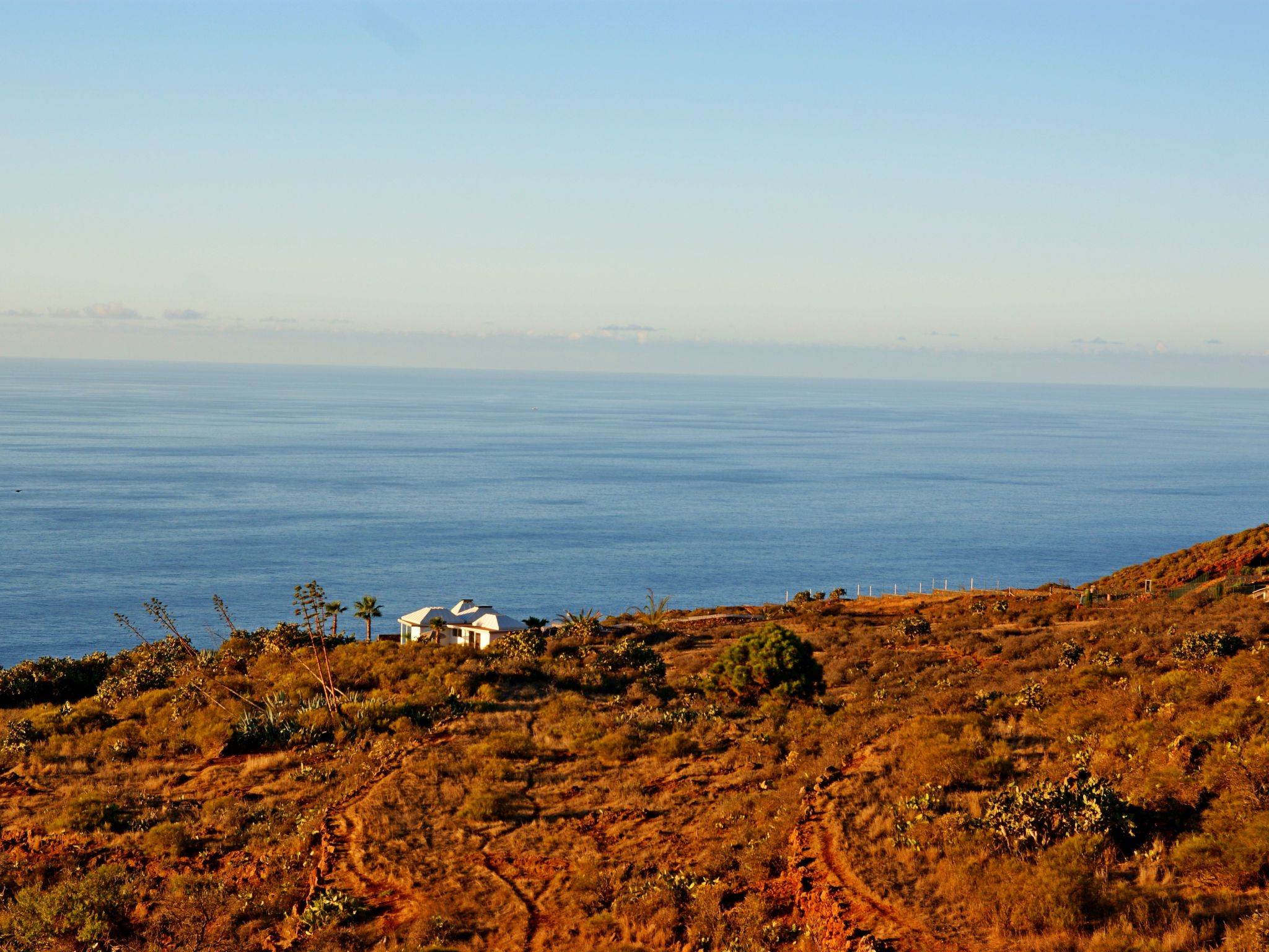 Moderne Architekten-Villa mit Infinity-Pool und Meerblick-Image-tags.info
