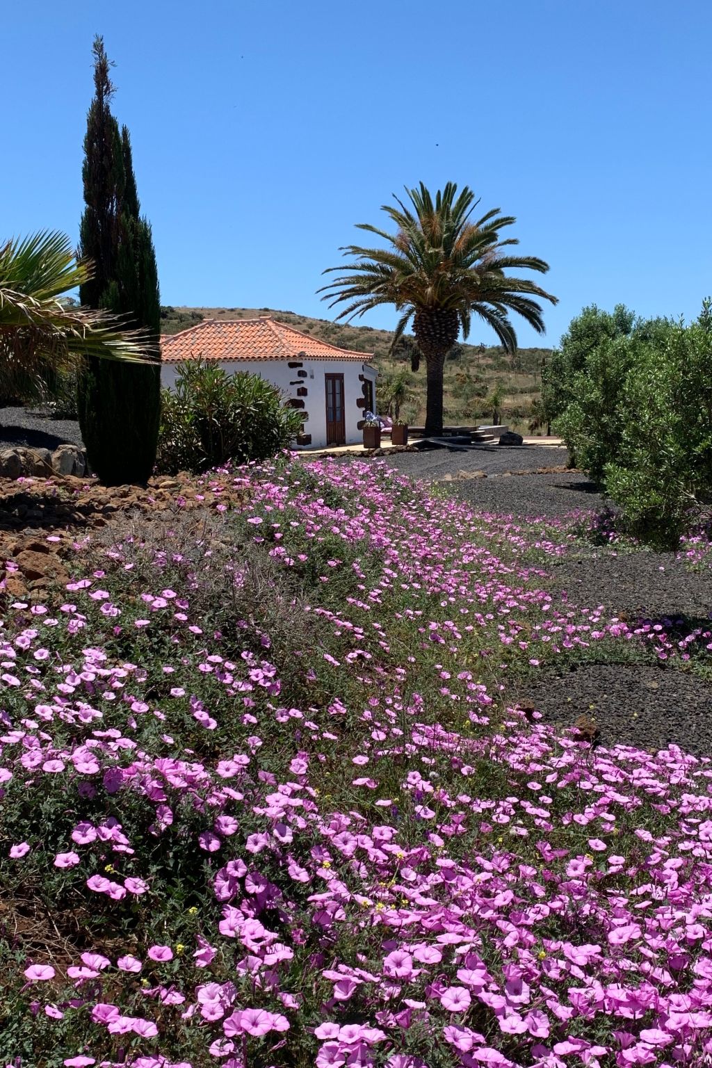 Romantische Ferienvilla mit Infinity-Pool und Panoramameerblick-Image-tags.info