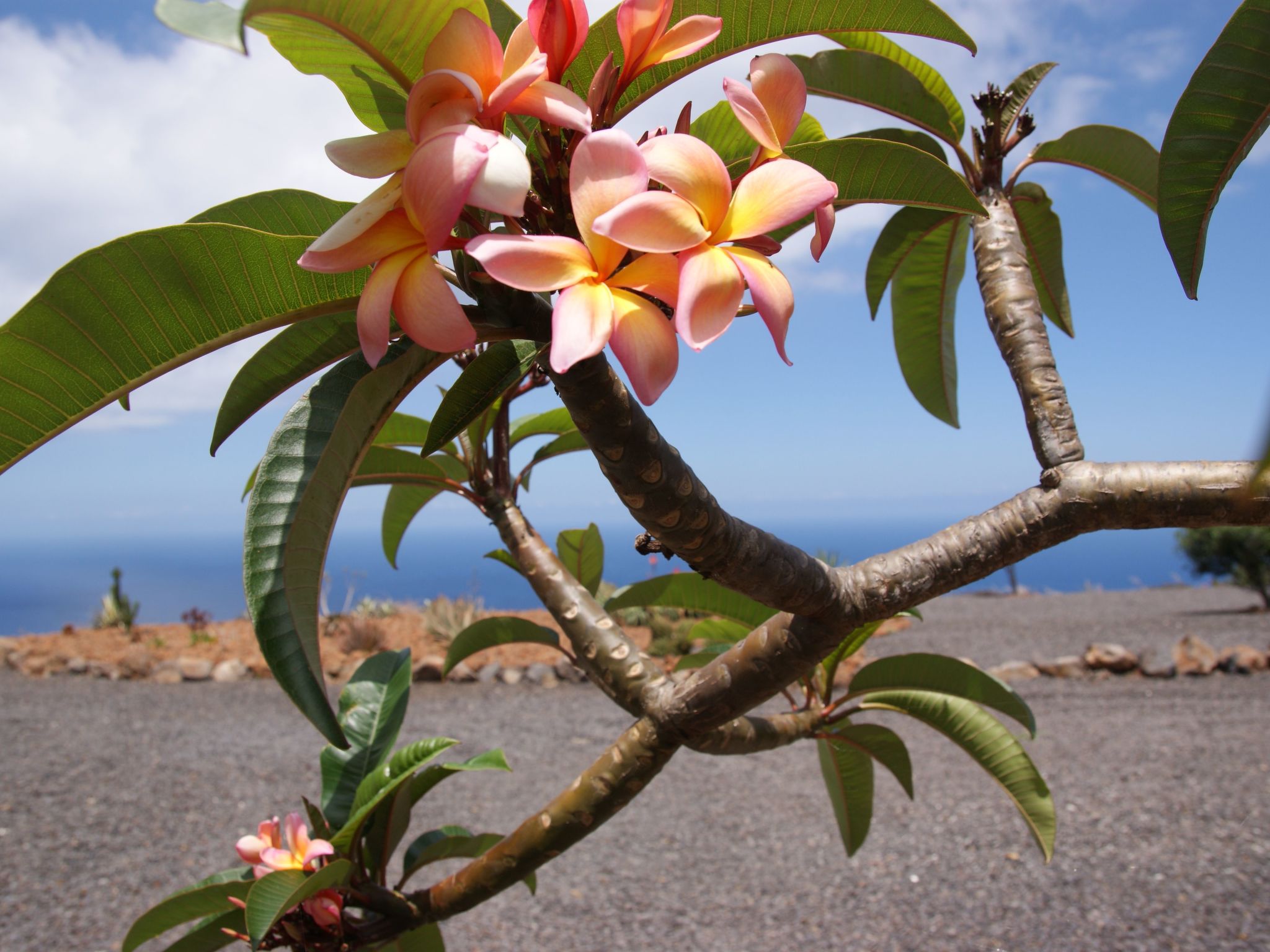 Romantische Ferienvilla mit Infinity-Pool und Panoramameerblick-Image-tags.info