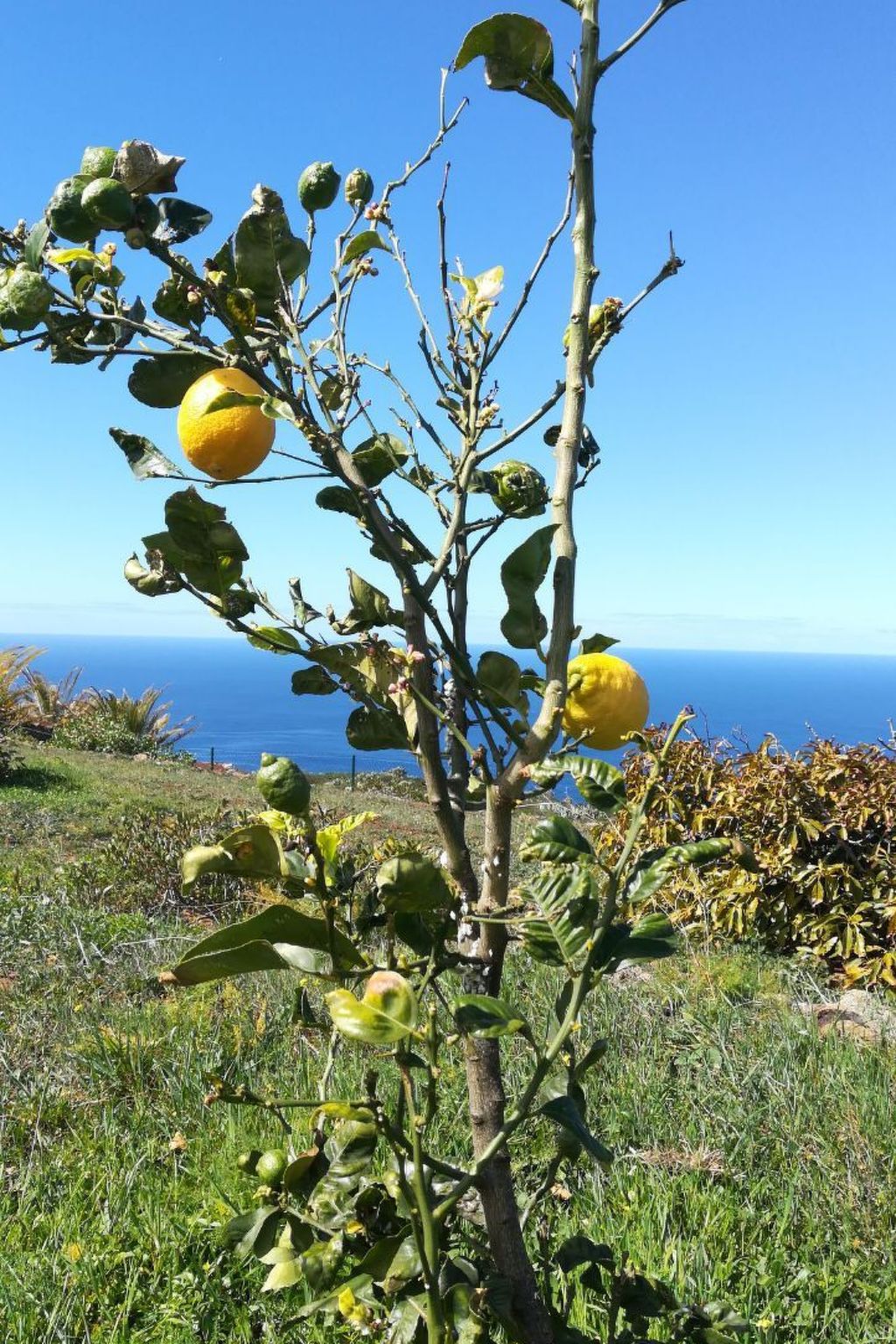 Romantische Ferienvilla mit Infinity-Pool und Panoramameerblick-Image-tags.info