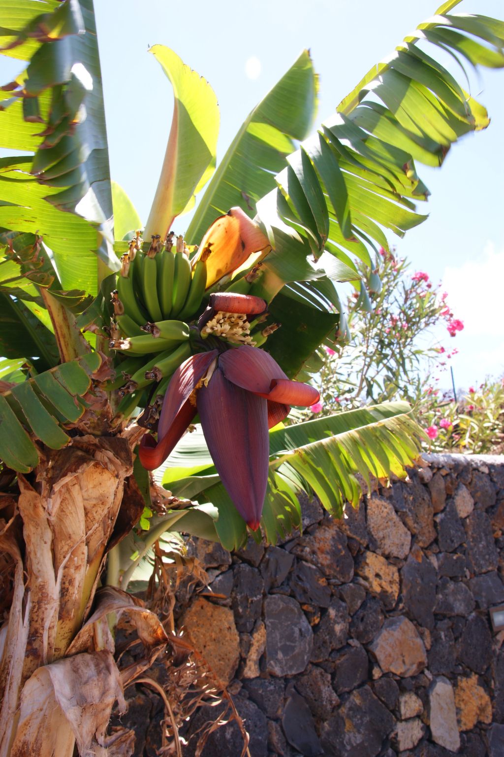 Romantische Ferienvilla mit Infinity-Pool und Panoramameerblick-Image-tags.info