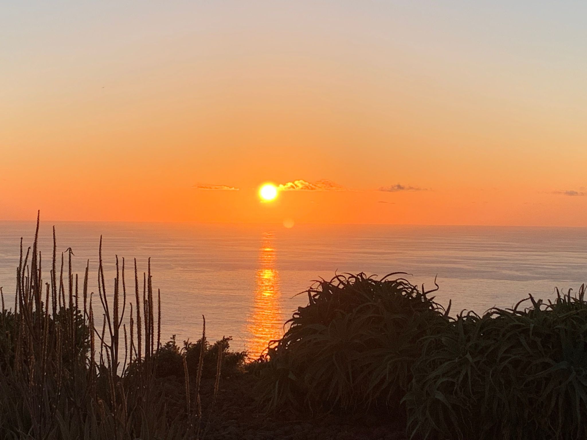 Romantische Ferienvilla mit Infinity-Pool und Panoramameerblick-Image-tags.info