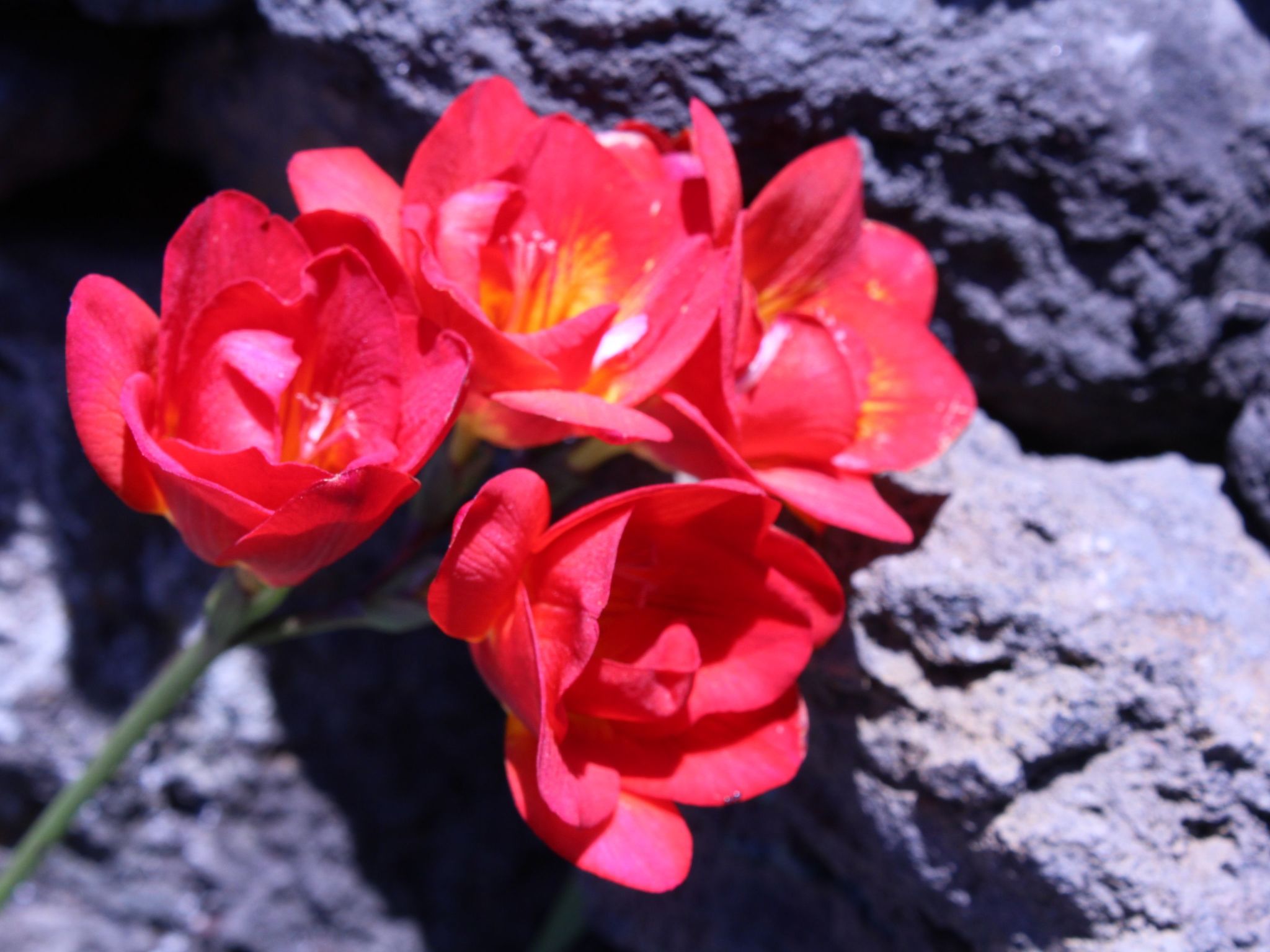 In Monte Breñas mit Grill, Terrasse und Garten-Binnen