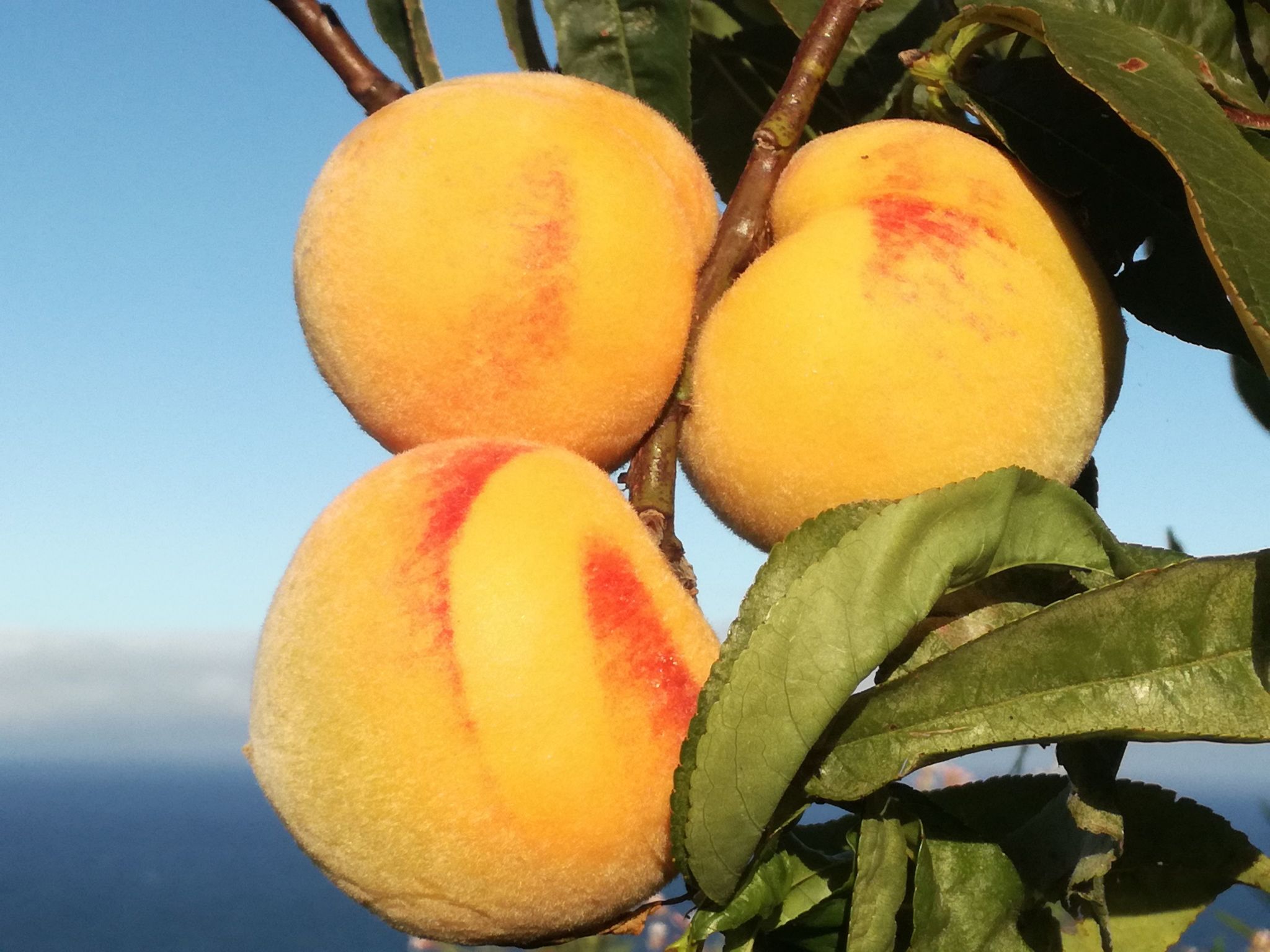 In Monte Breñas mit Grill, Terrasse und Garten-Binnen