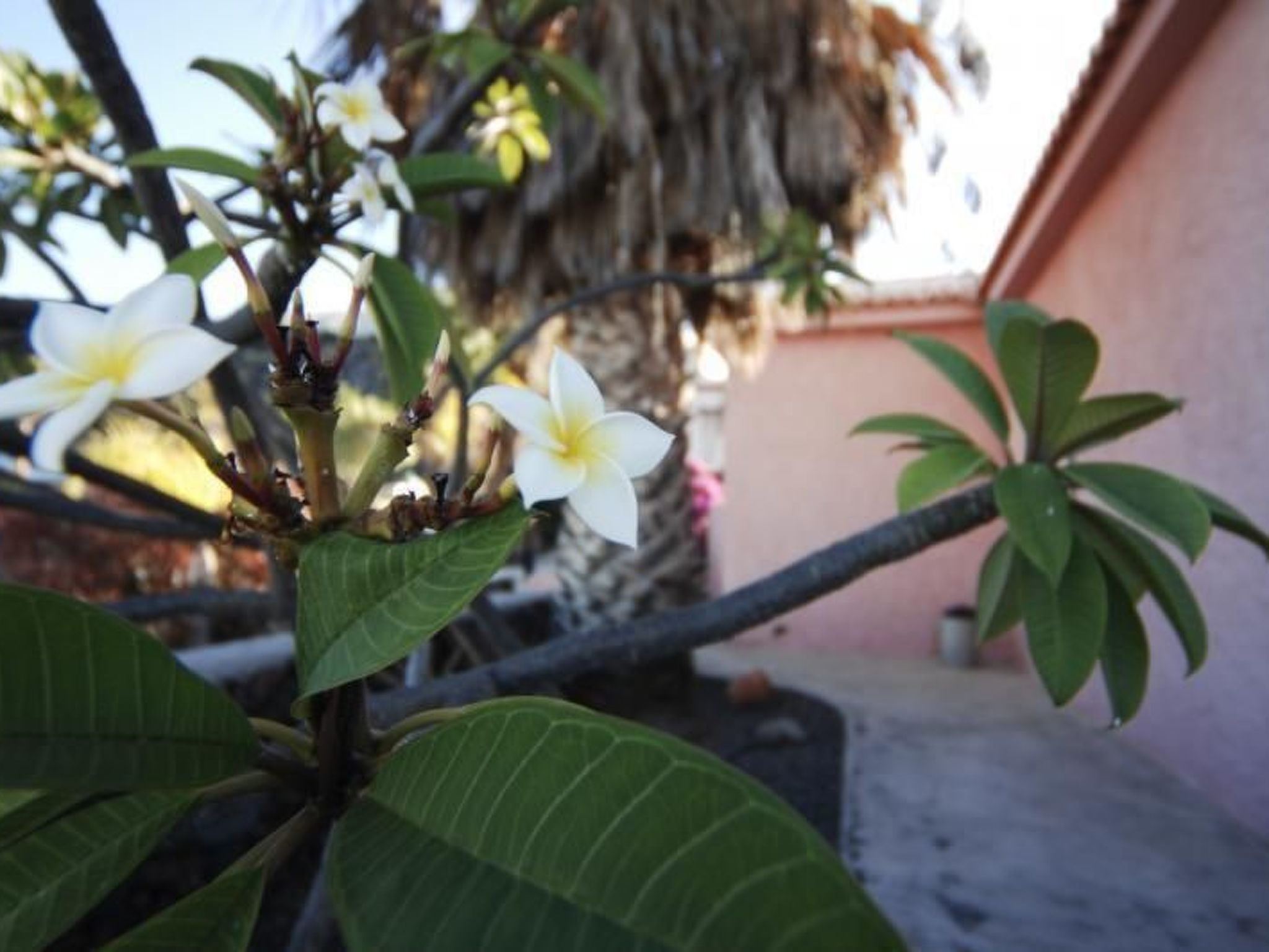 Kleiner Bungalow mit einem Schlafzimmer-Binnen