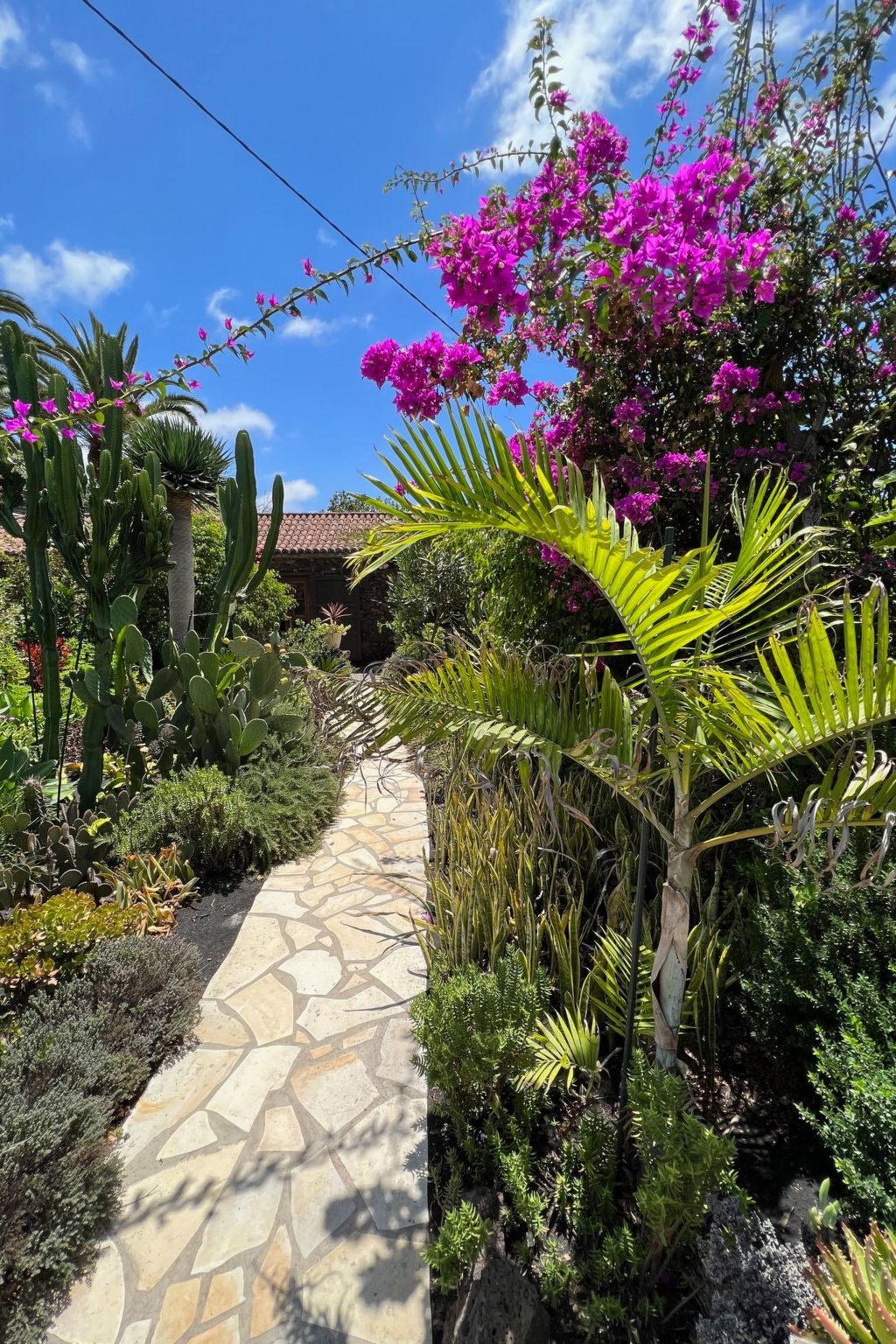 Casa Jardín Tropical-Image-tags.info