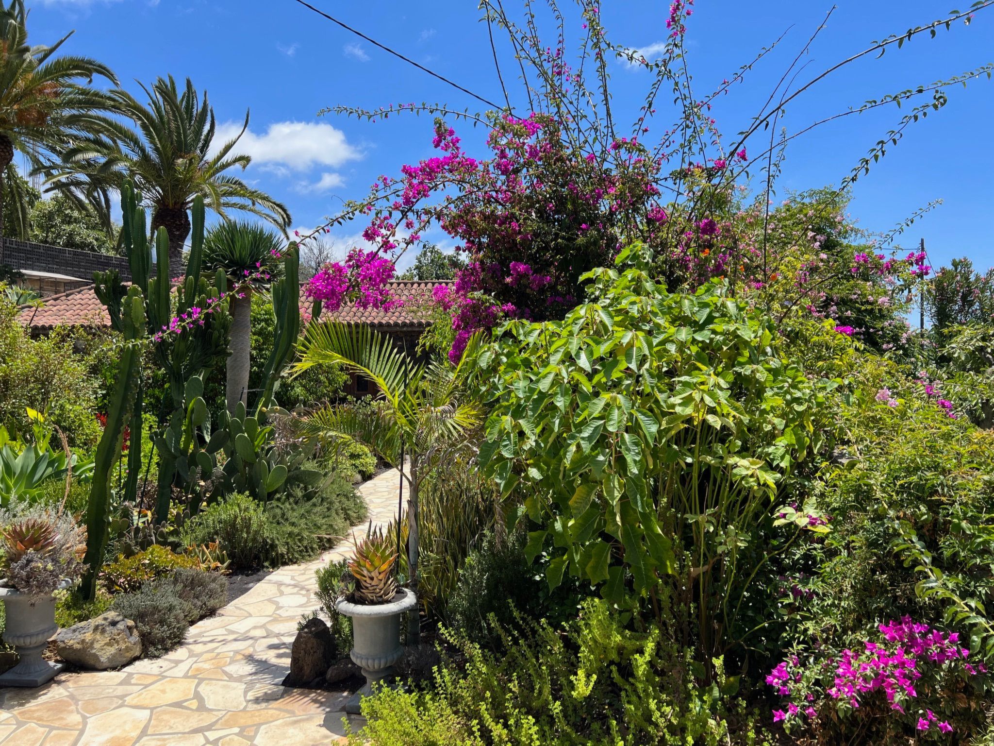 Casa Jardín Tropical-Image-tags.info