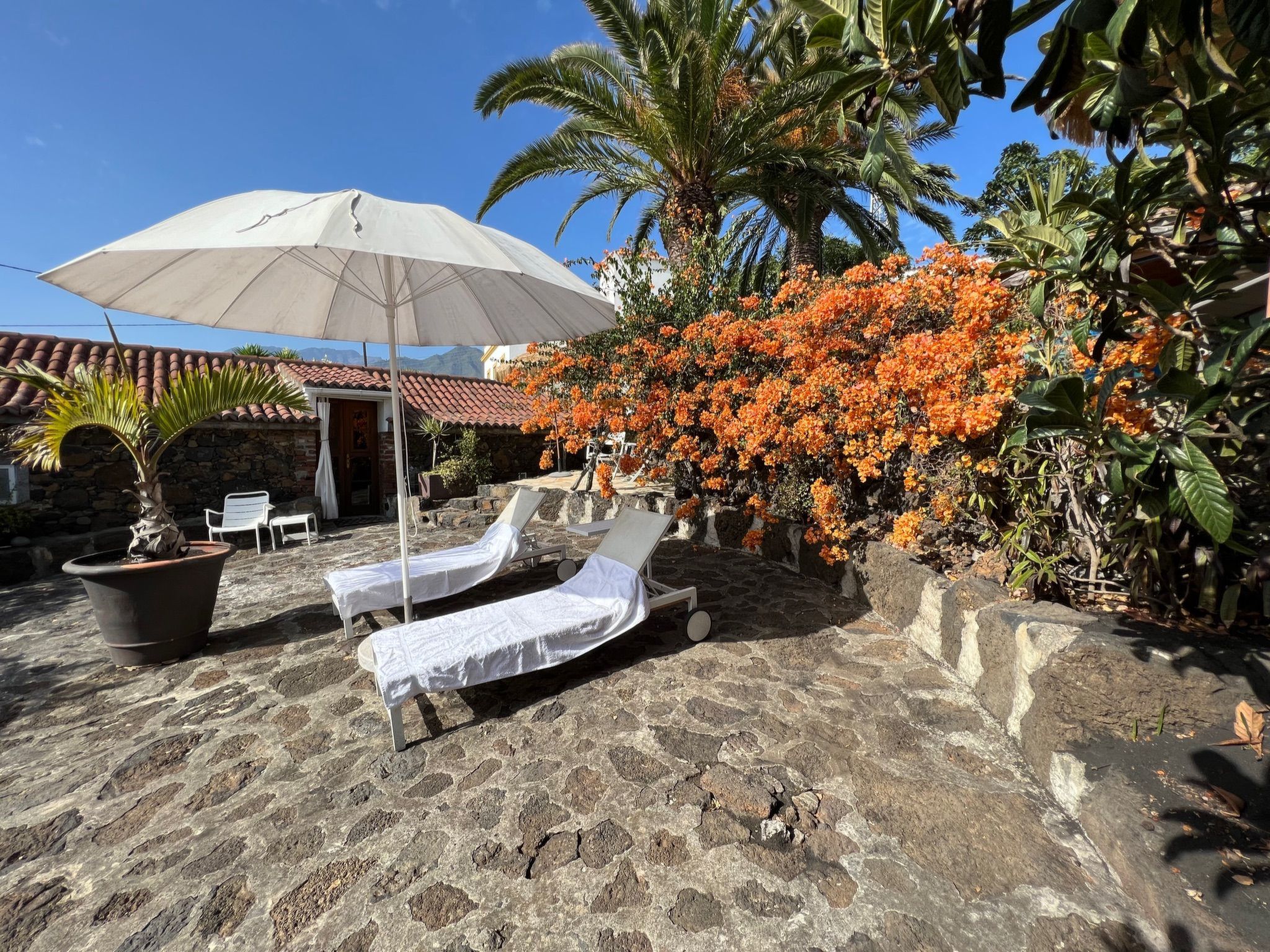 Casa Jardín Tropical-Image-tags.info