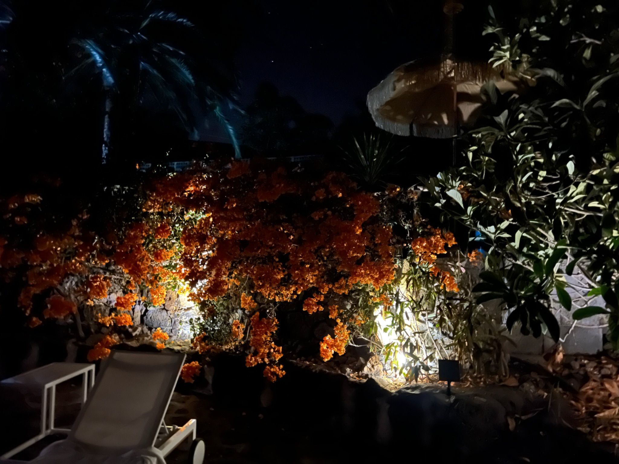 Casa Jardín Tropical-Image-tags.info