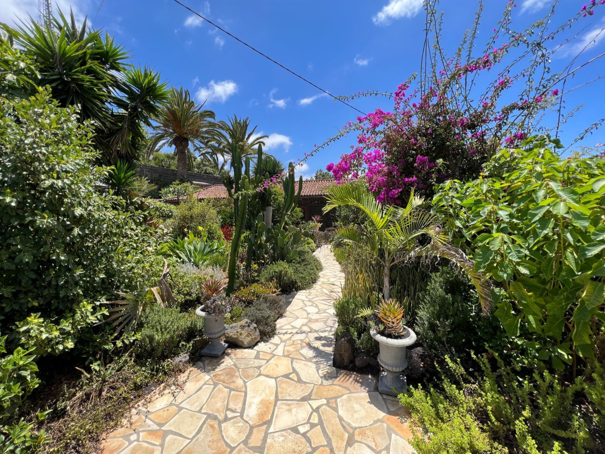 Casa Jardín Tropical-Image-tags.info